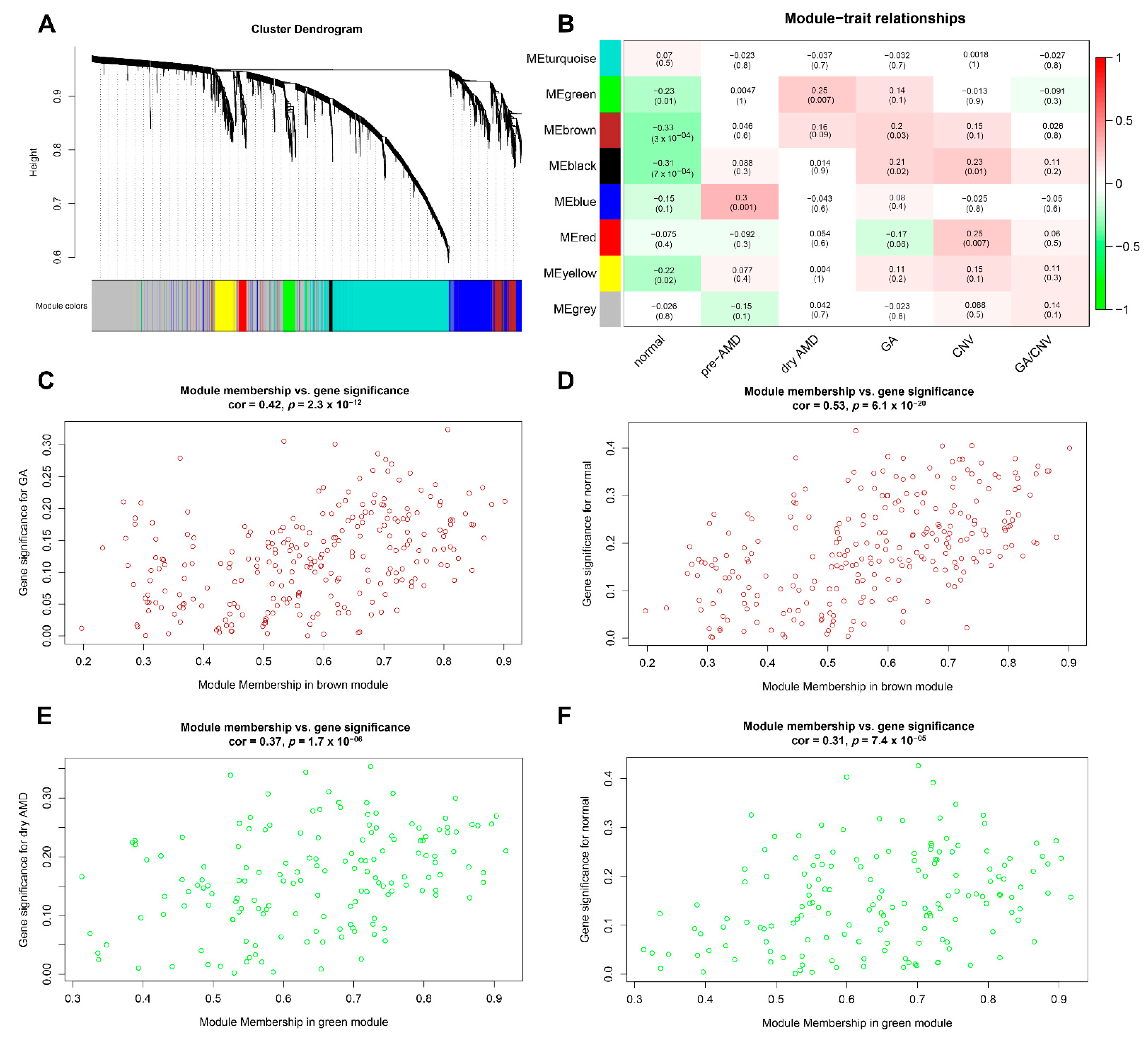 Diagnostics 11 01079 g002 Diagnostics 11 01079 g002