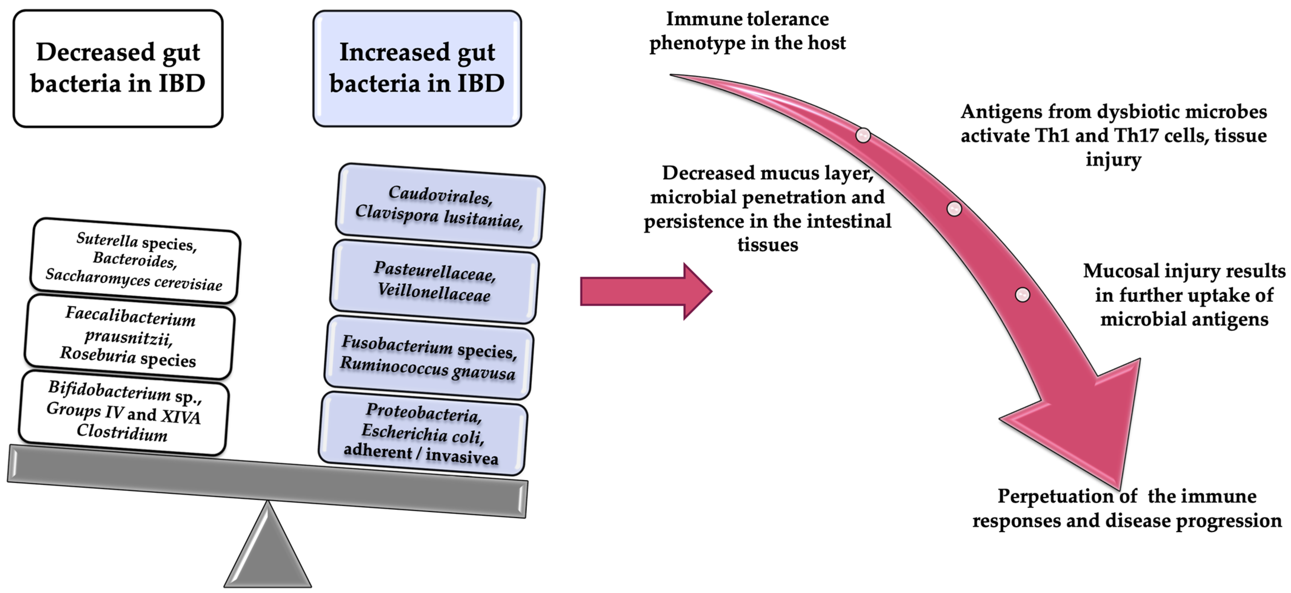 Diagnostics 11 01090 g001 Diagnostics 11 01090 g001