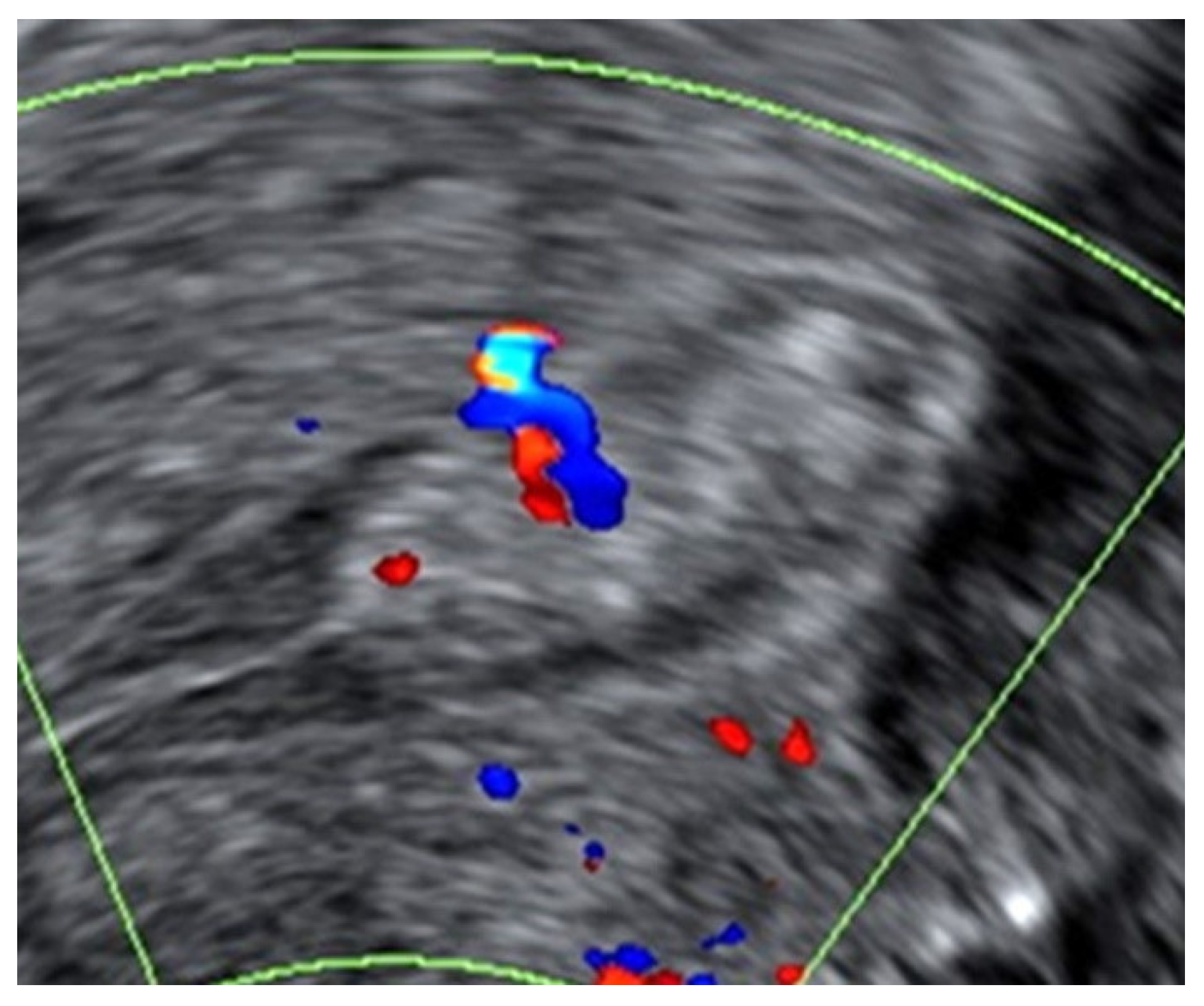 Diagnostics 11 01094 g001 Diagnostics 11 01094 g001