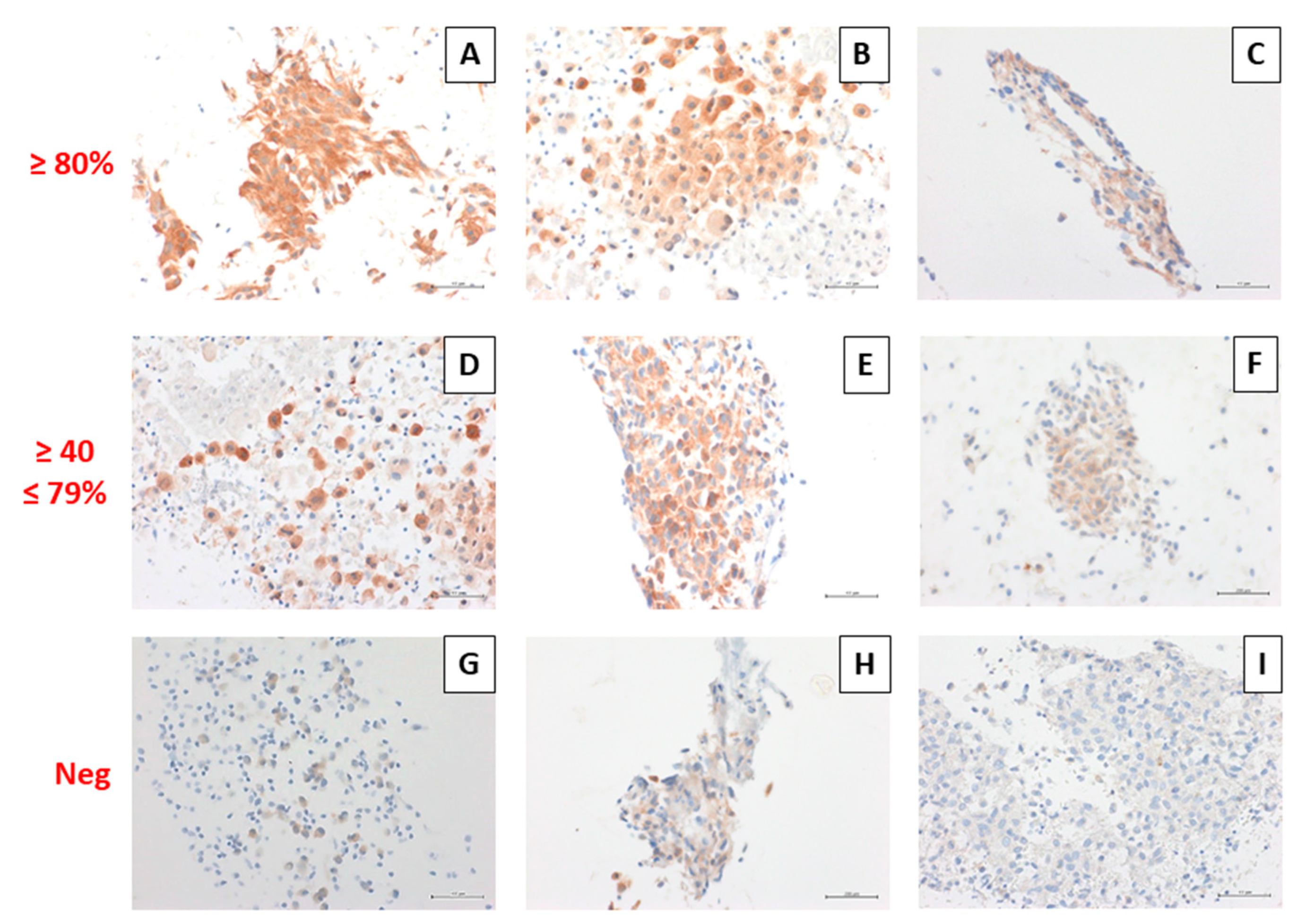 Diagnostics 11 01110 g003 Diagnostics 11 01110 g003