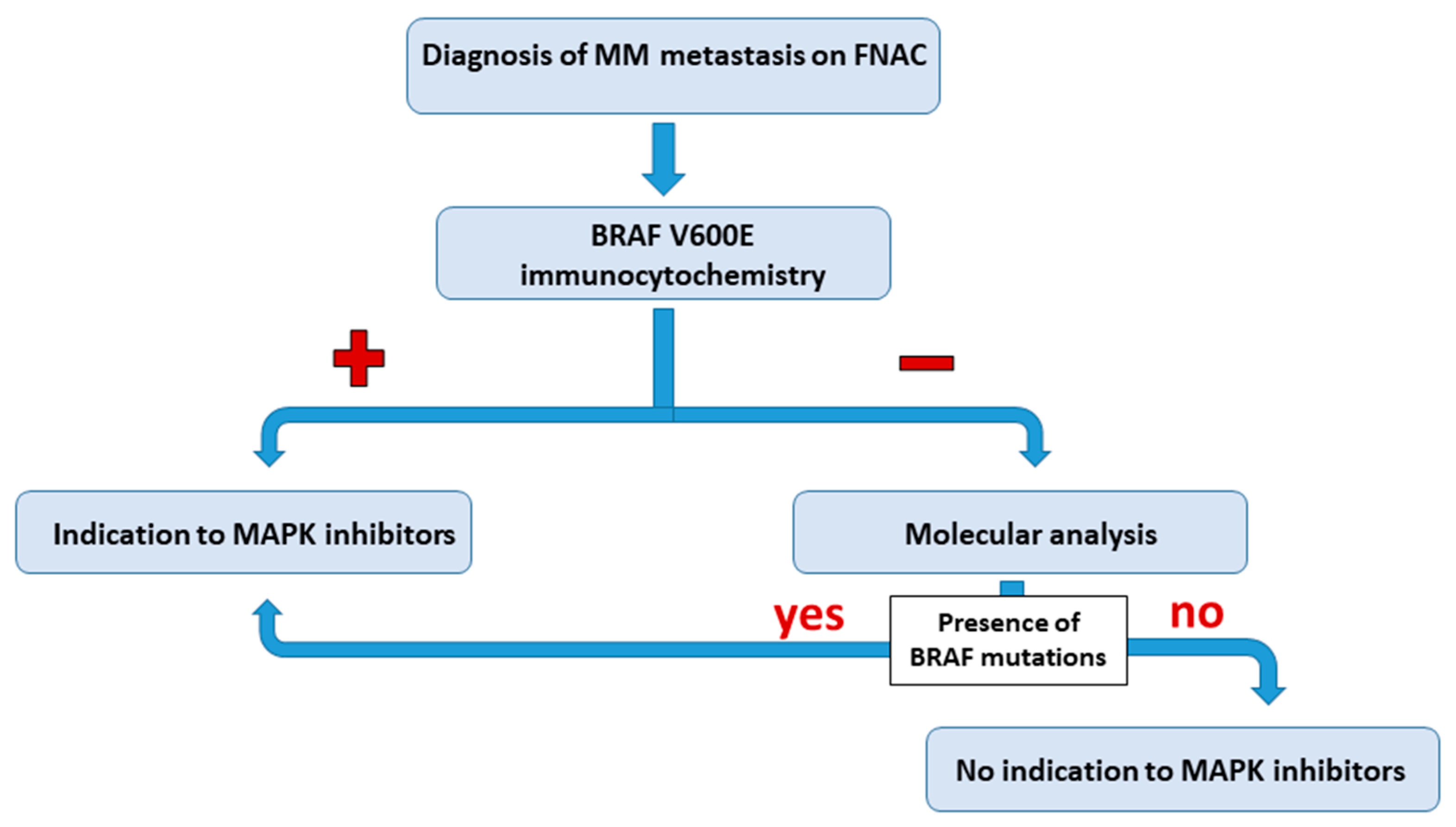 Diagnostics 11 01110 g005 Diagnostics 11 01110 g005