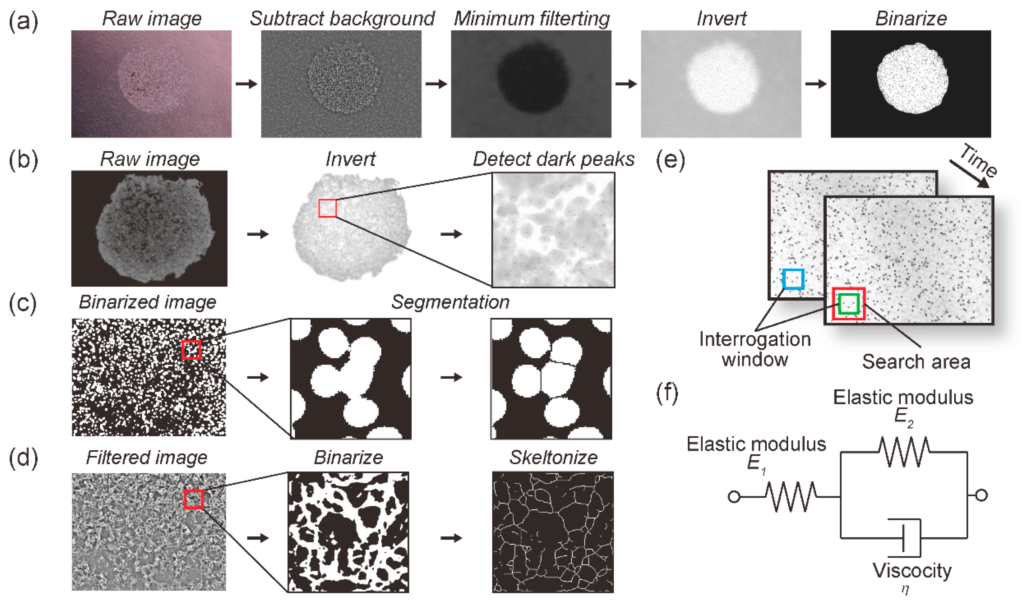 Diagnostics 11 01112 g002