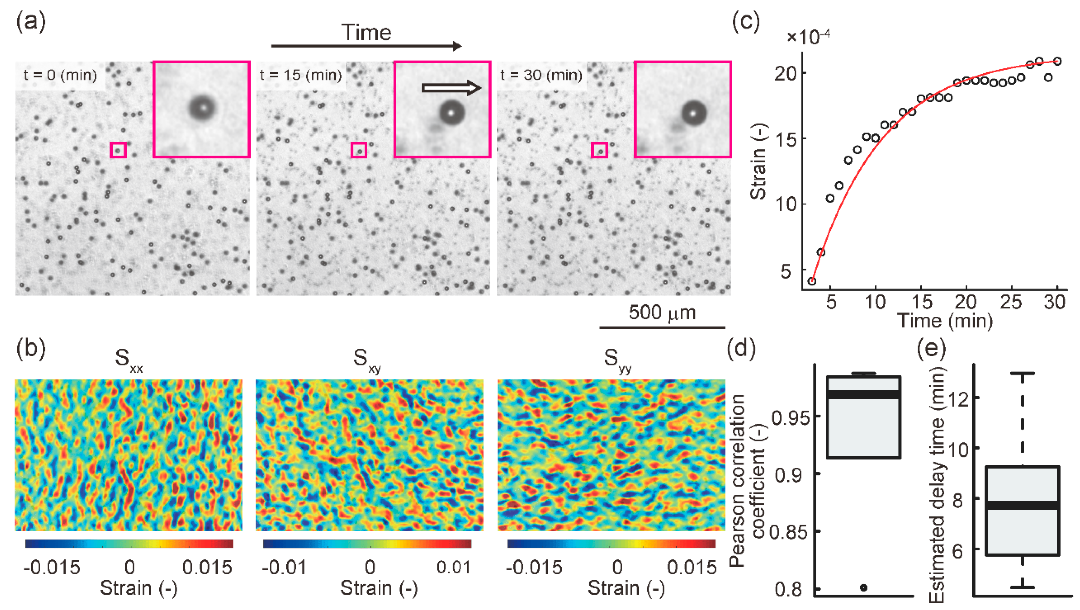 Diagnostics 11 01112 g003