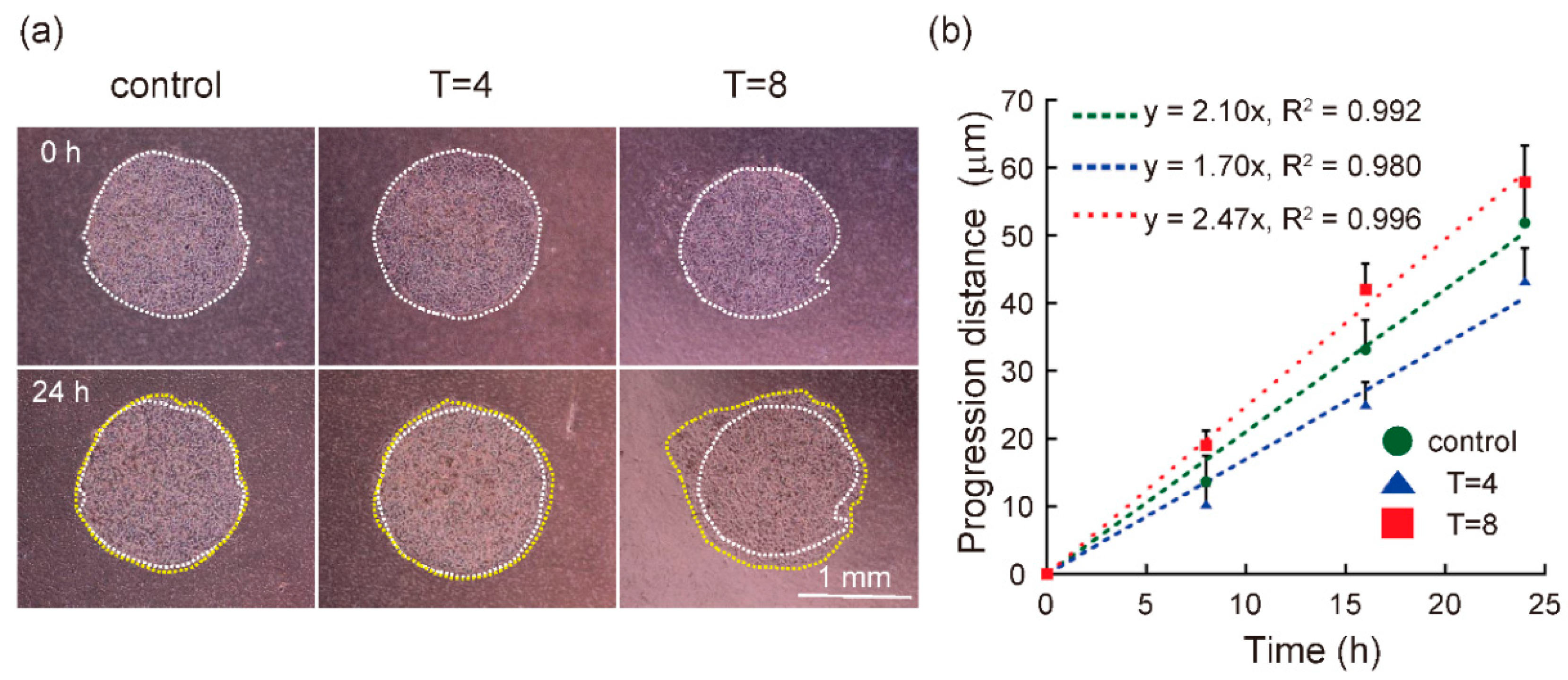 Diagnostics 11 01112 g004