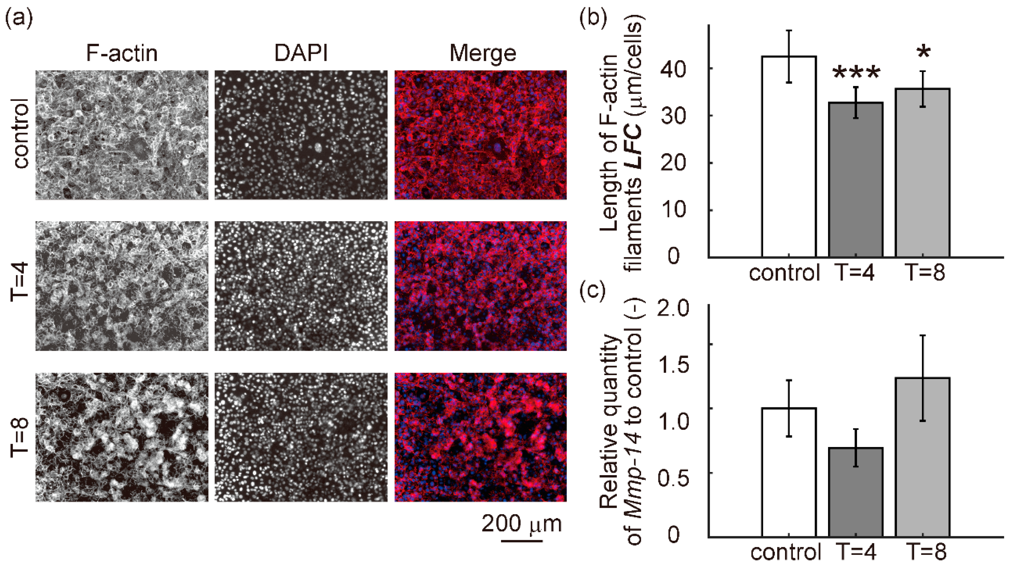 Diagnostics 11 01112 g006