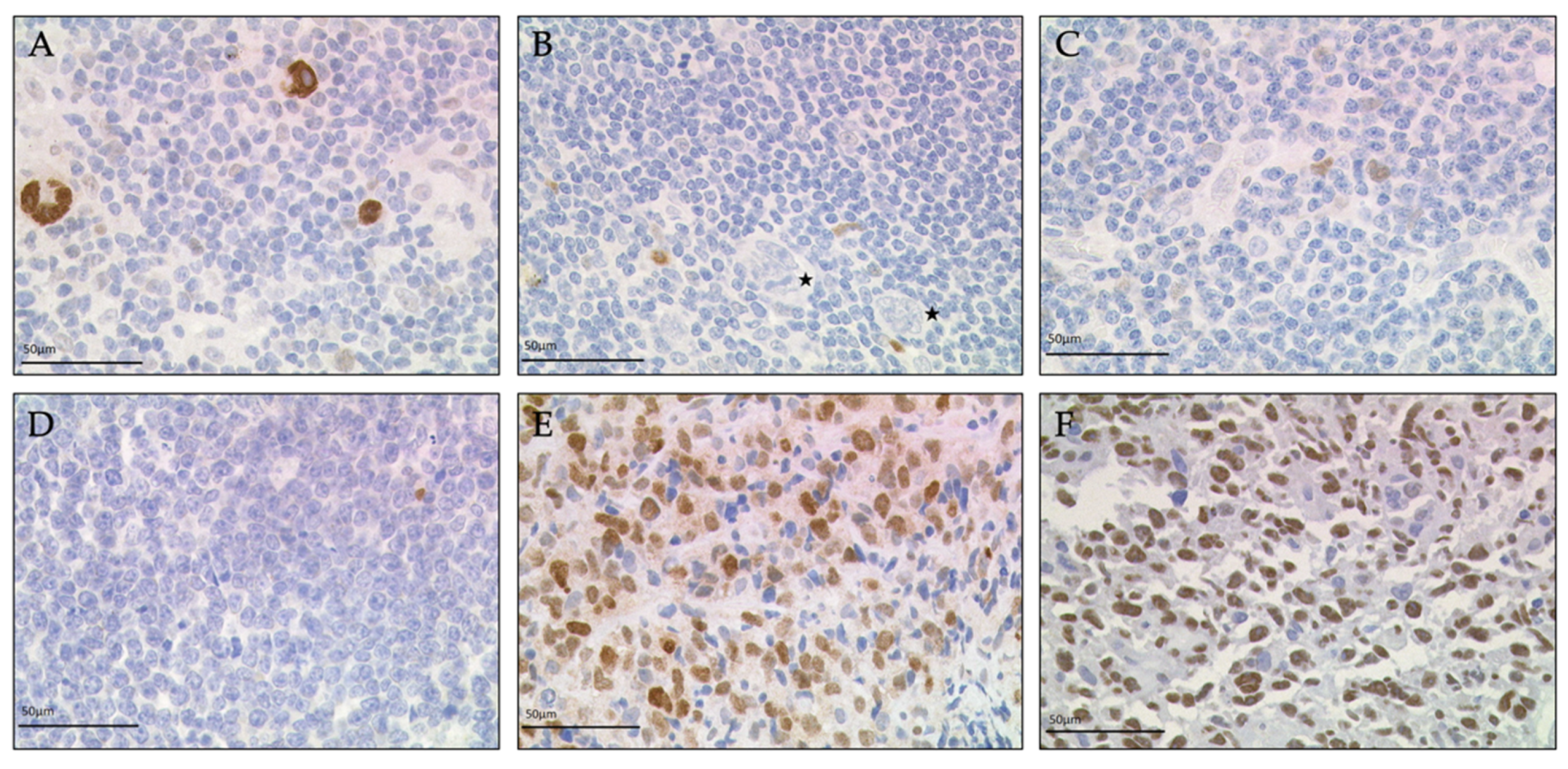 Diagnostics 11 01123 g001 Diagnostics 11 01123 g001