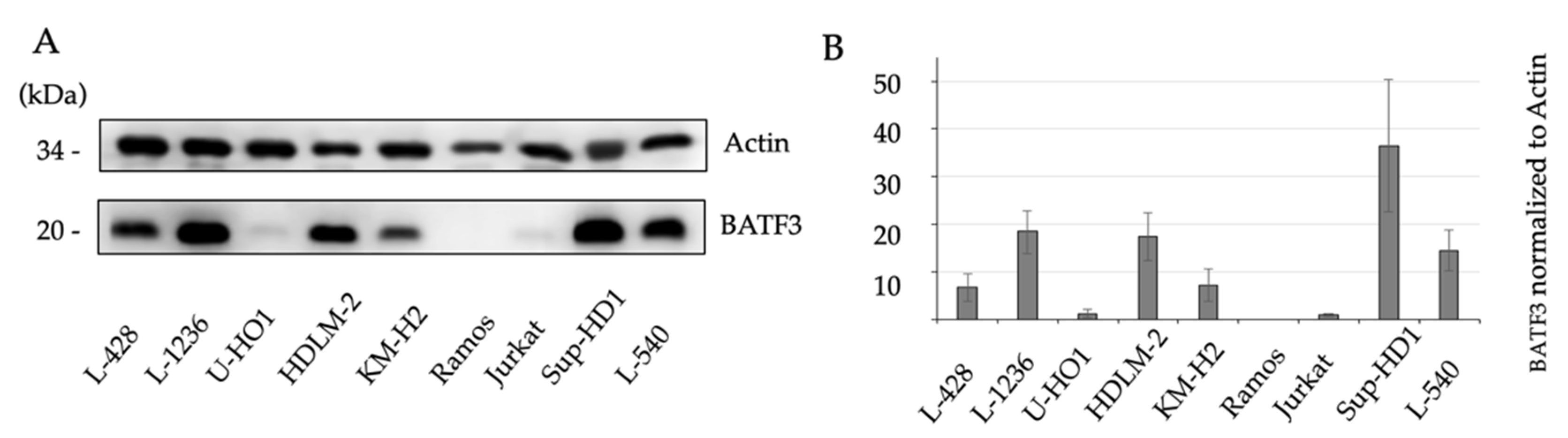 Diagnostics 11 01123 g003 Diagnostics 11 01123 g003