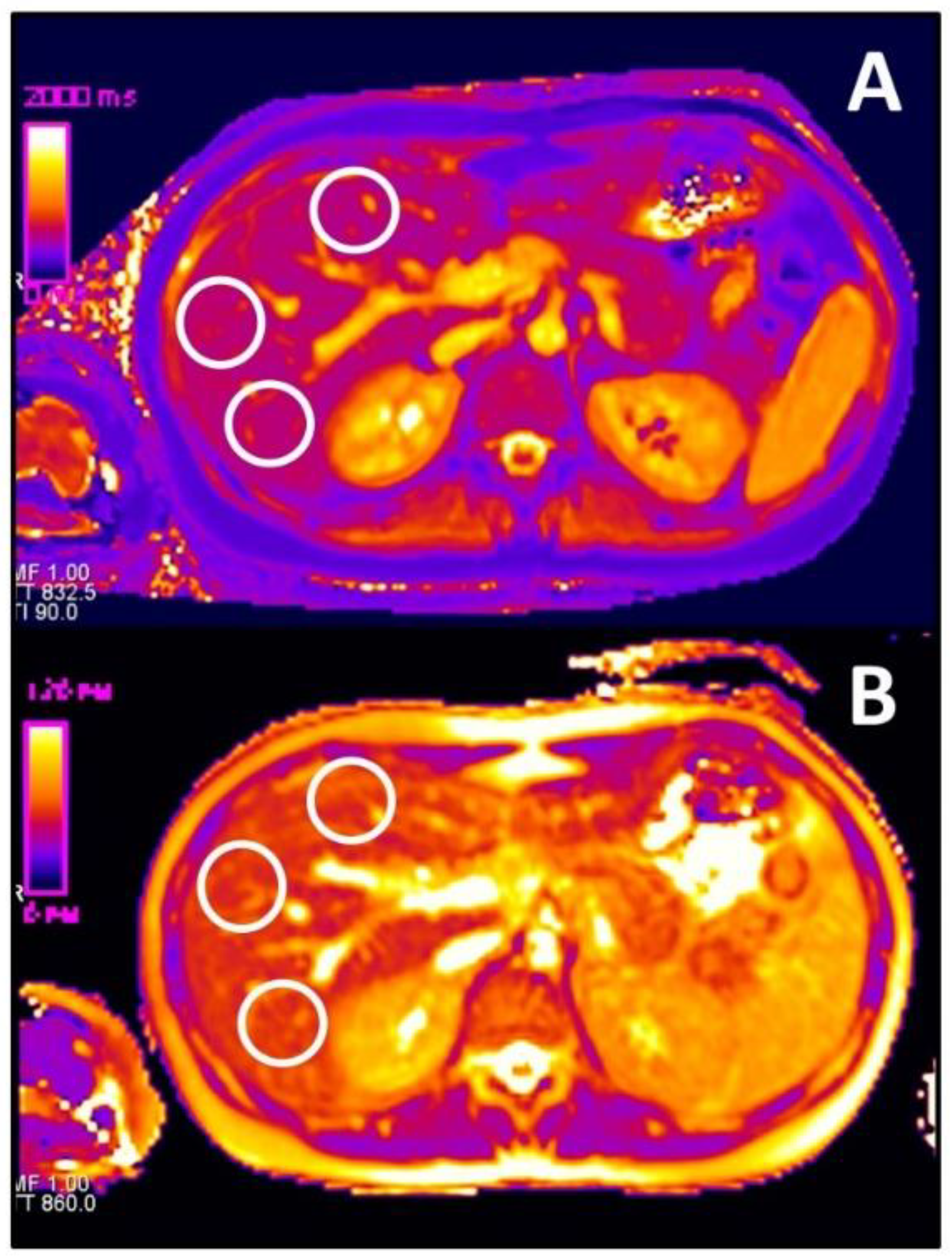 Diagnostics 11 01125 g001