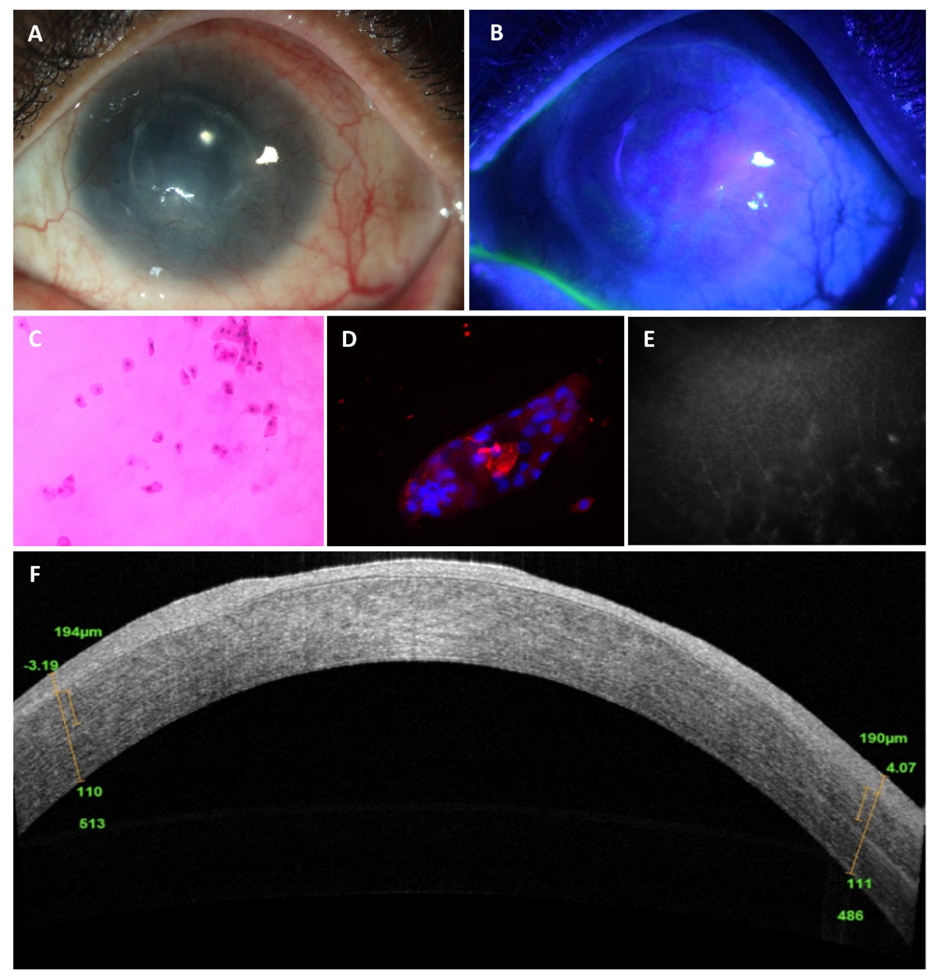 Diagnostics 11 01130 g001