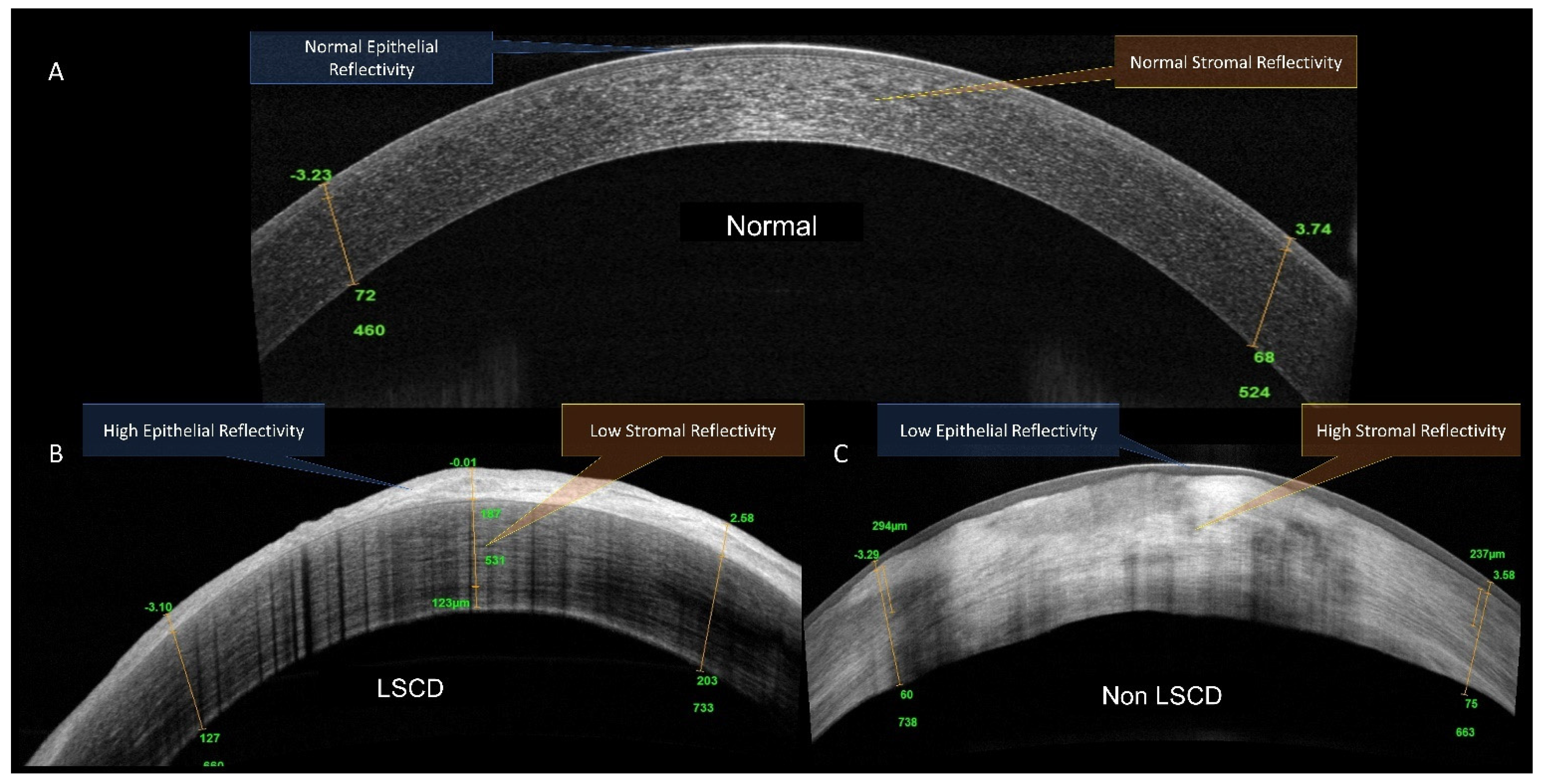 Diagnostics 11 01130 g002