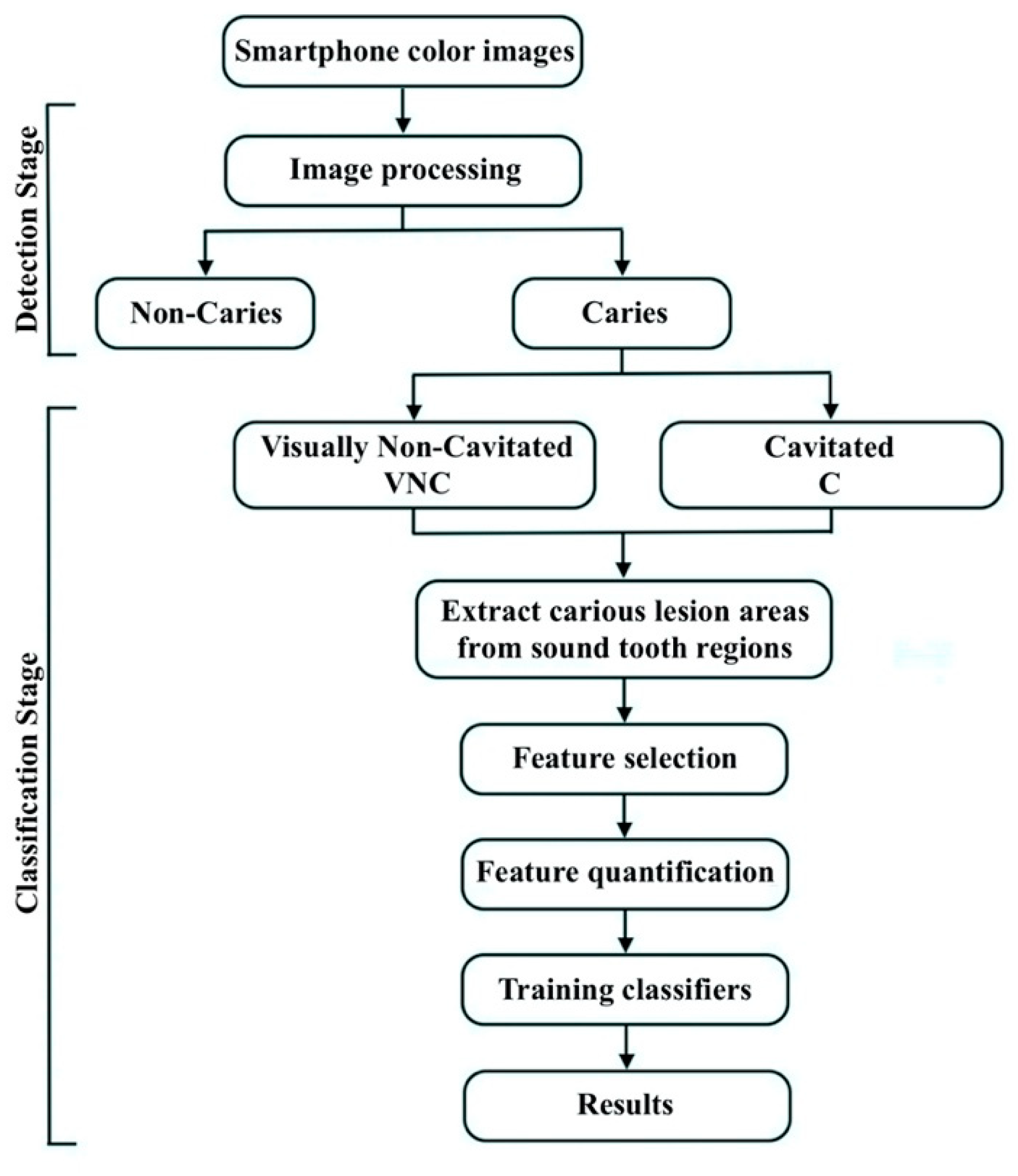 Diagnostics 11 01136 g001