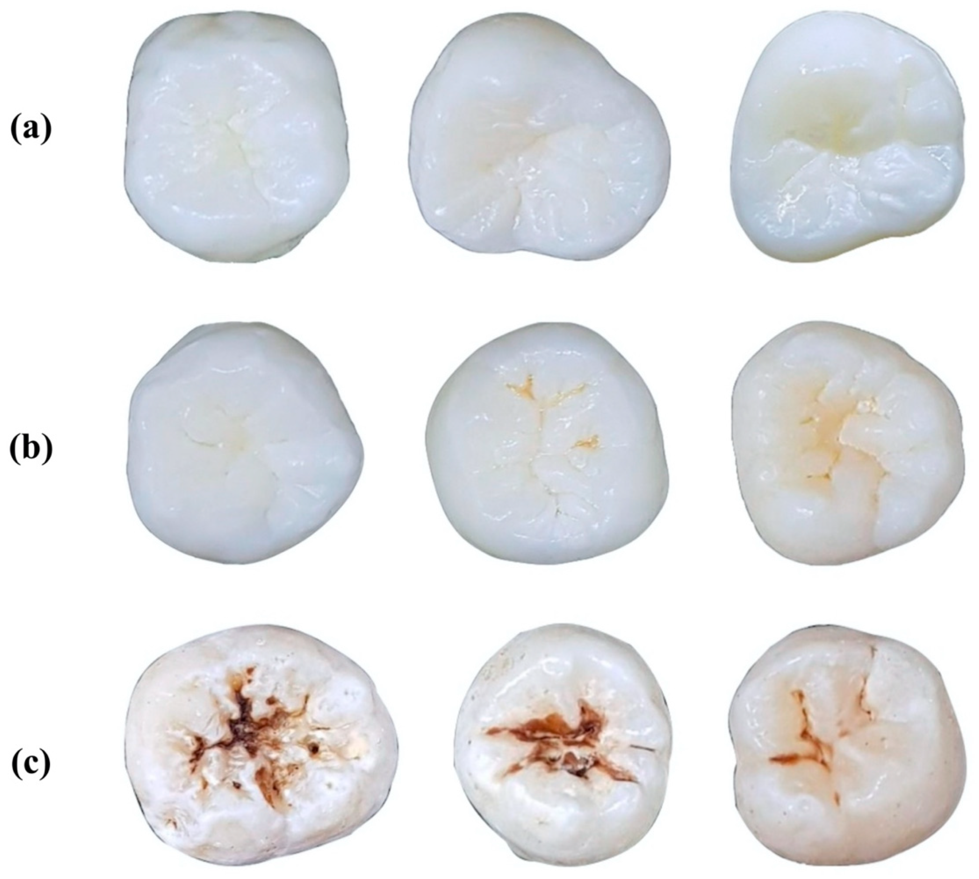 Diagnostics 11 01136 g002