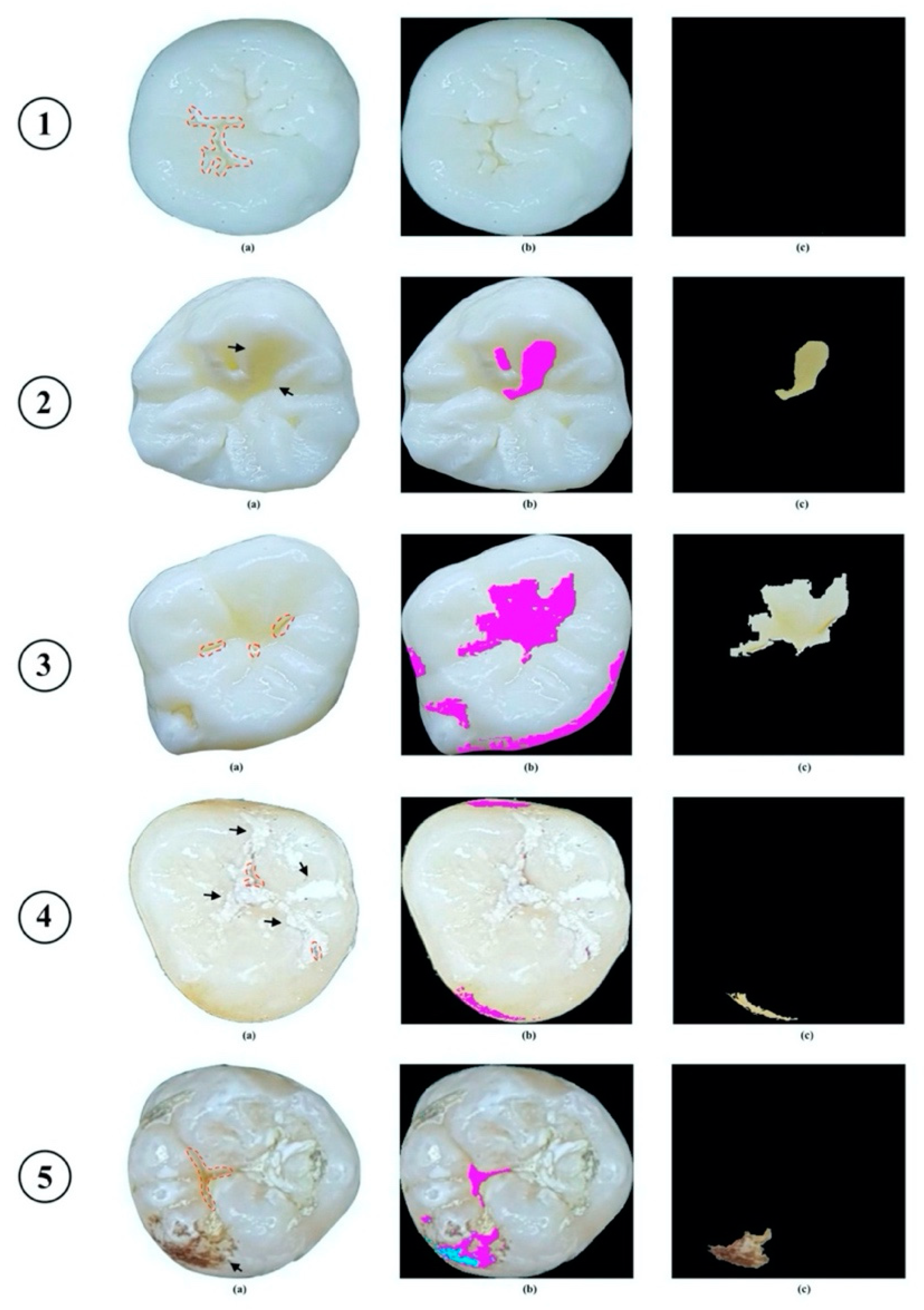 Diagnostics 11 01136 g005
