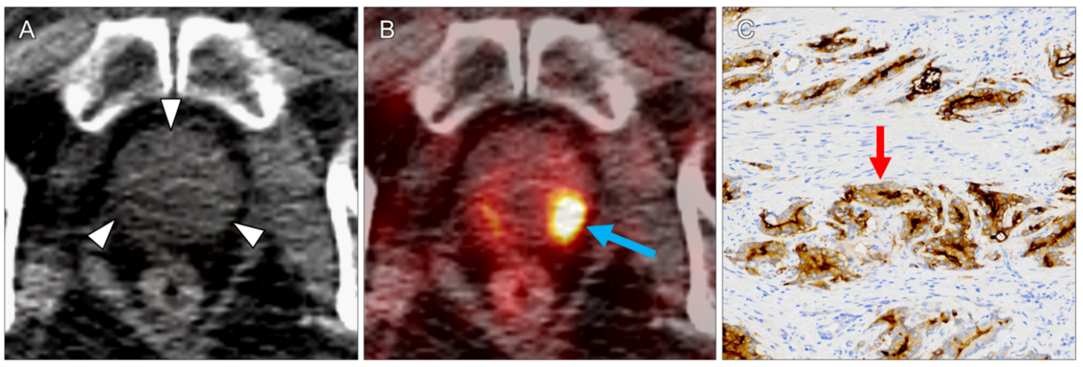 Diagnostics 11 01142 g004