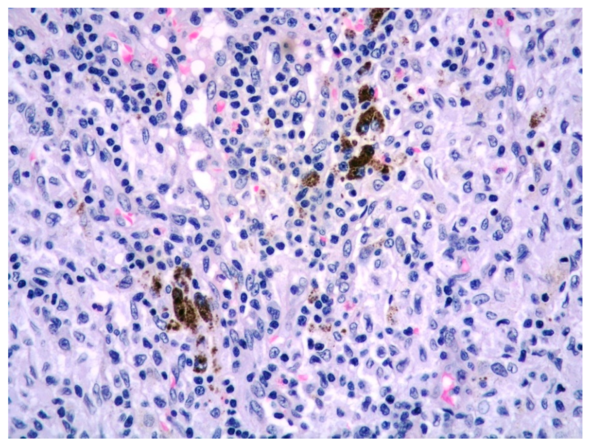 Diagnostics 11 01150 g002