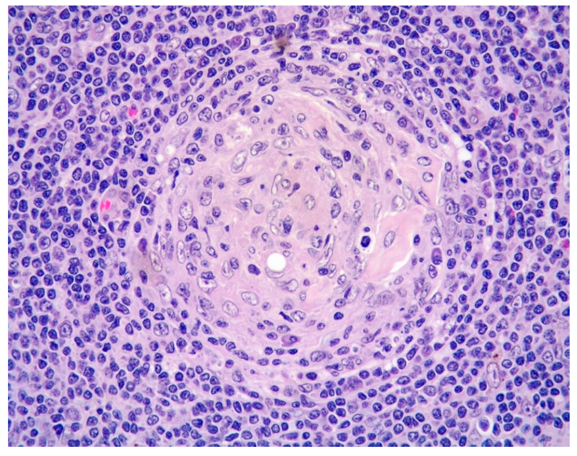 Diagnostics 11 01150 g003