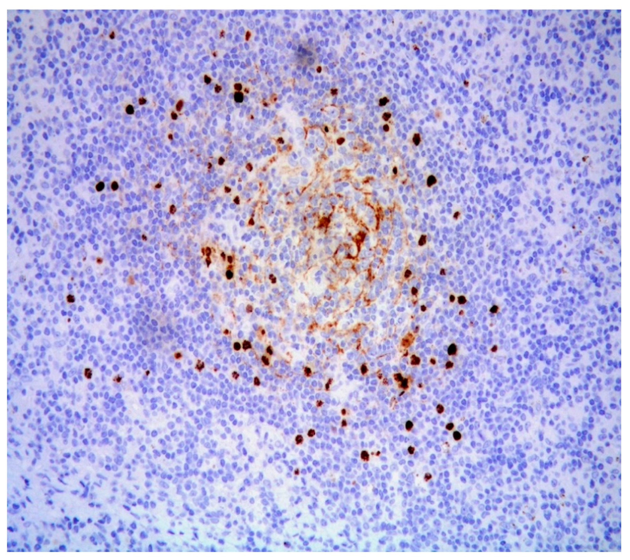 Diagnostics 11 01150 g004