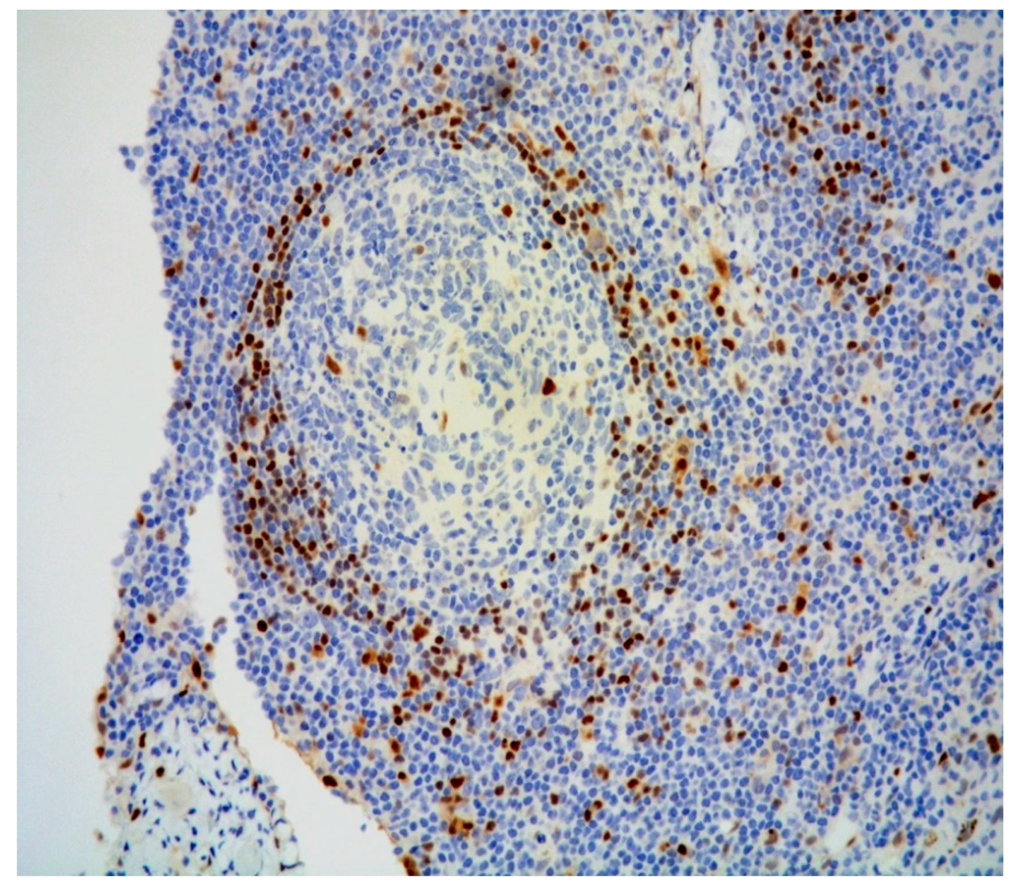 Diagnostics 11 01150 g005