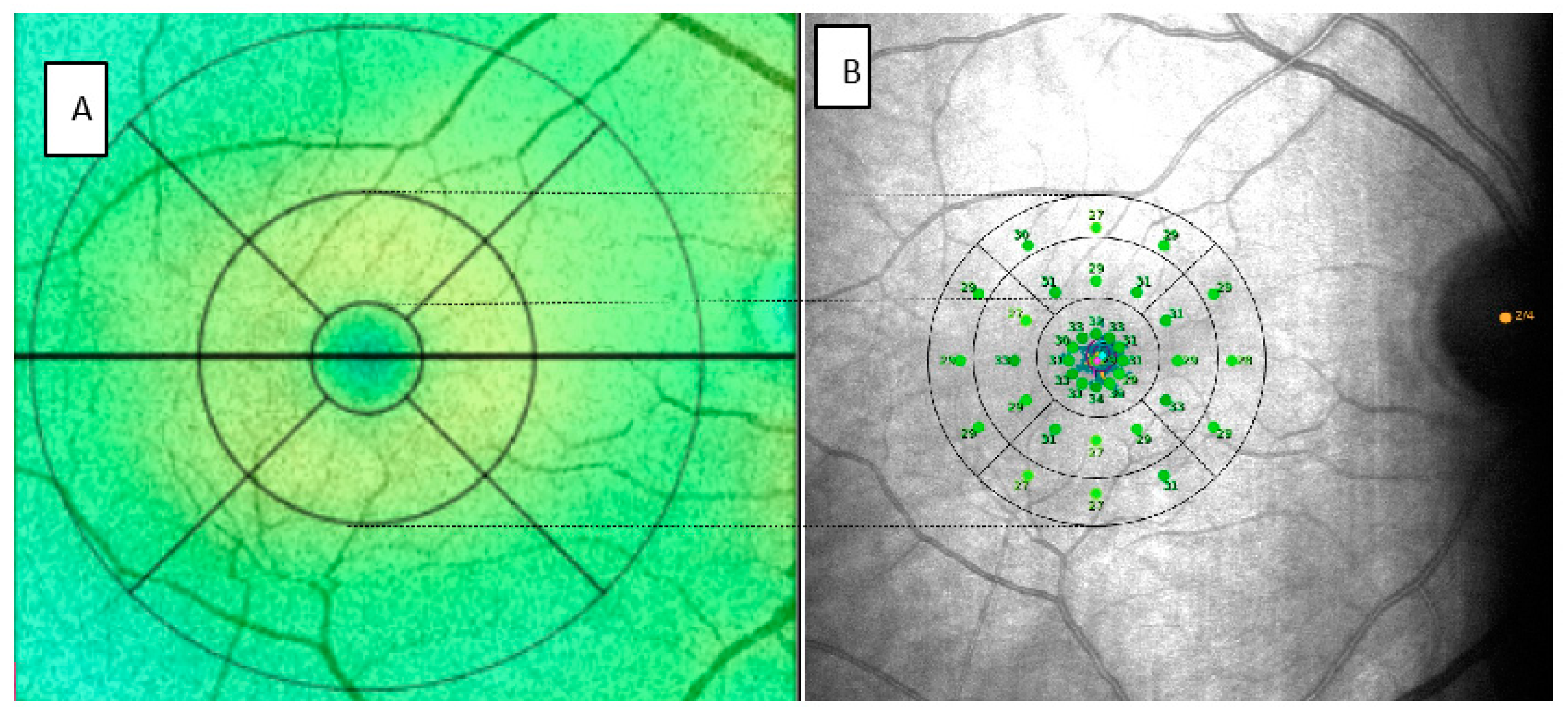 Diagnostics 11 01157 g002