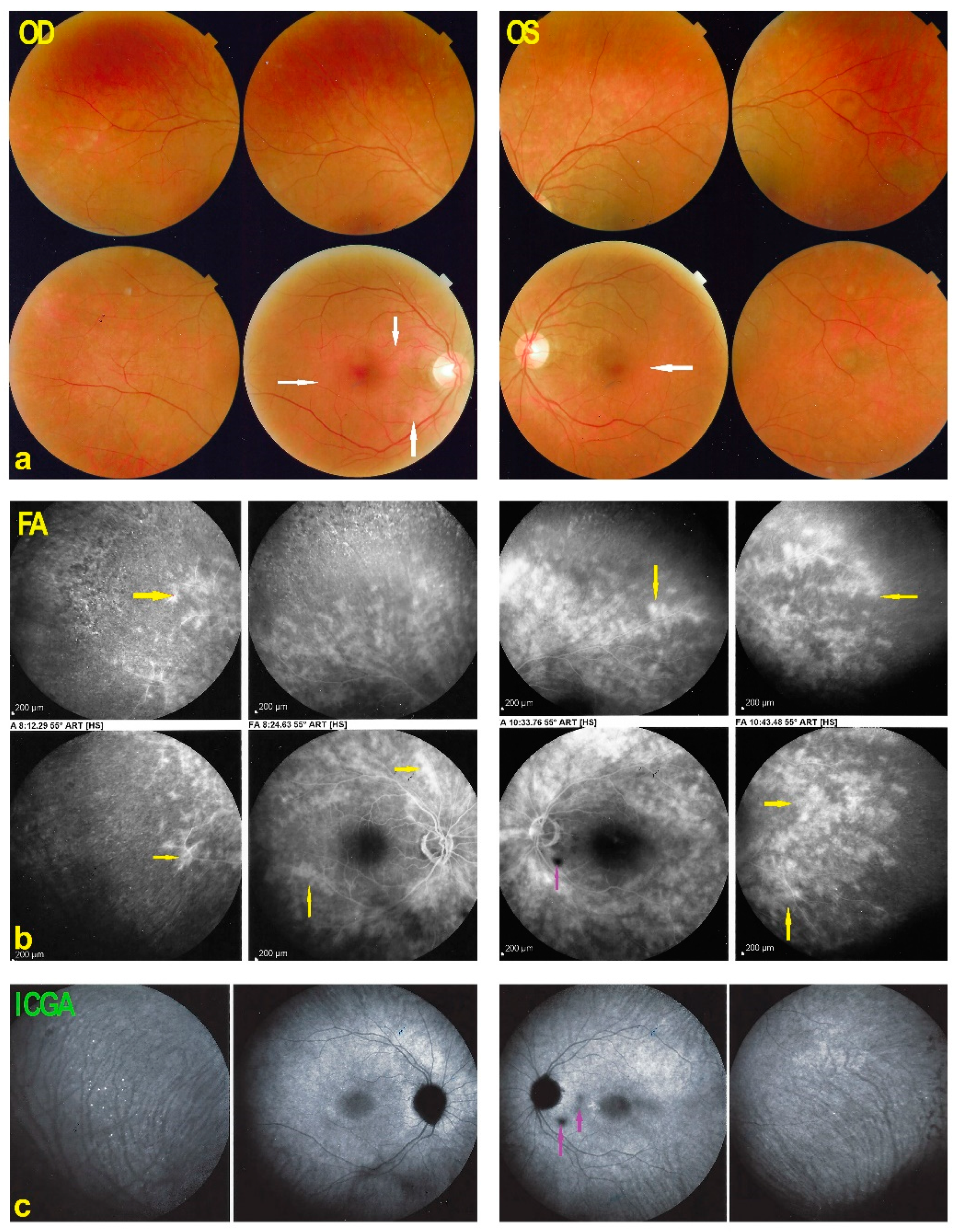 Diagnostics 11 01184 g010