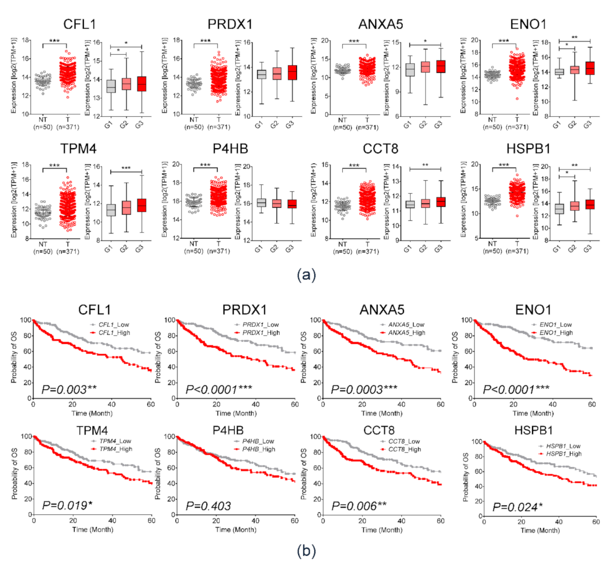 Diagnostics 11 01221 g003