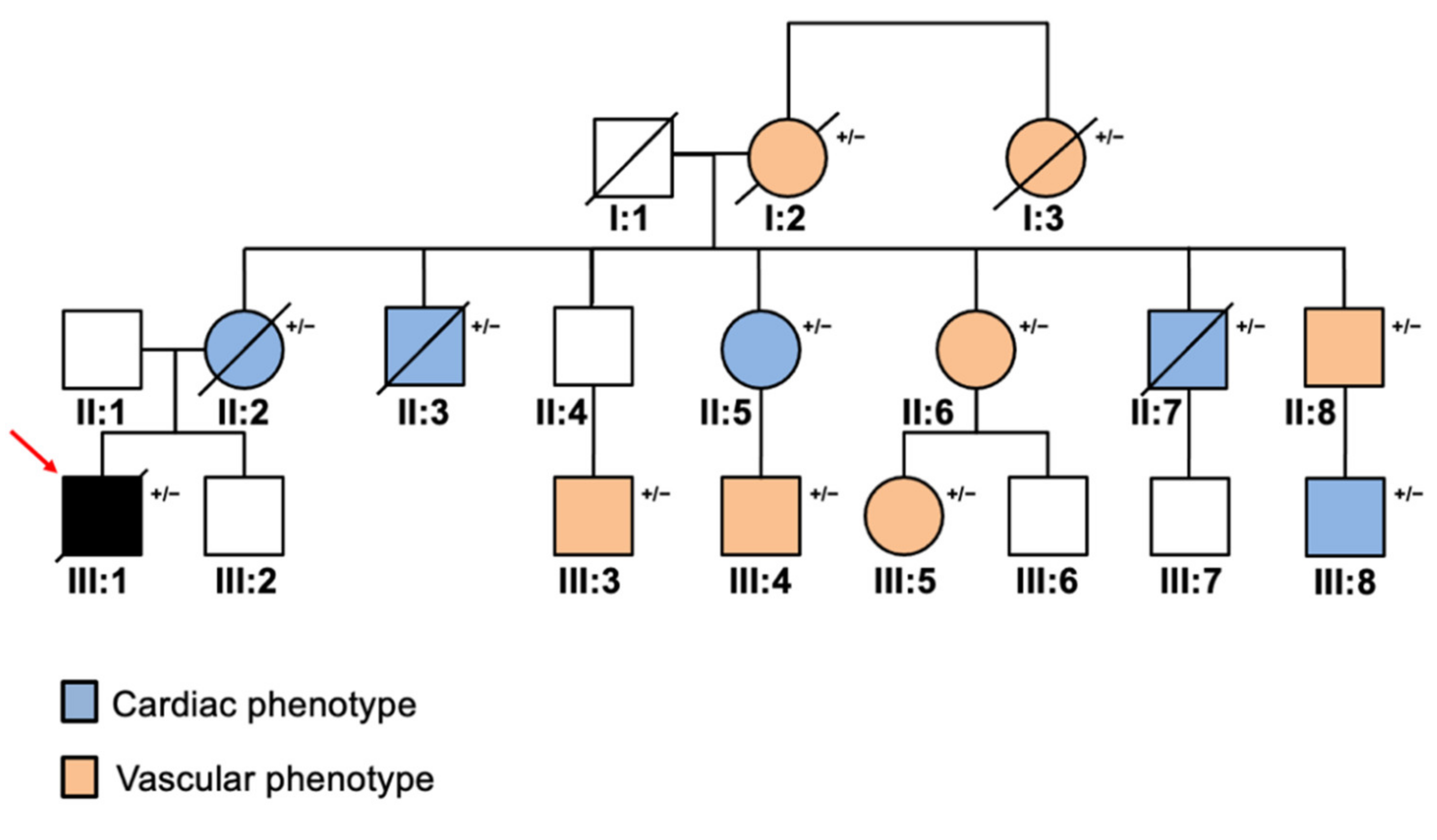 Diagnostics 11 01229 g003