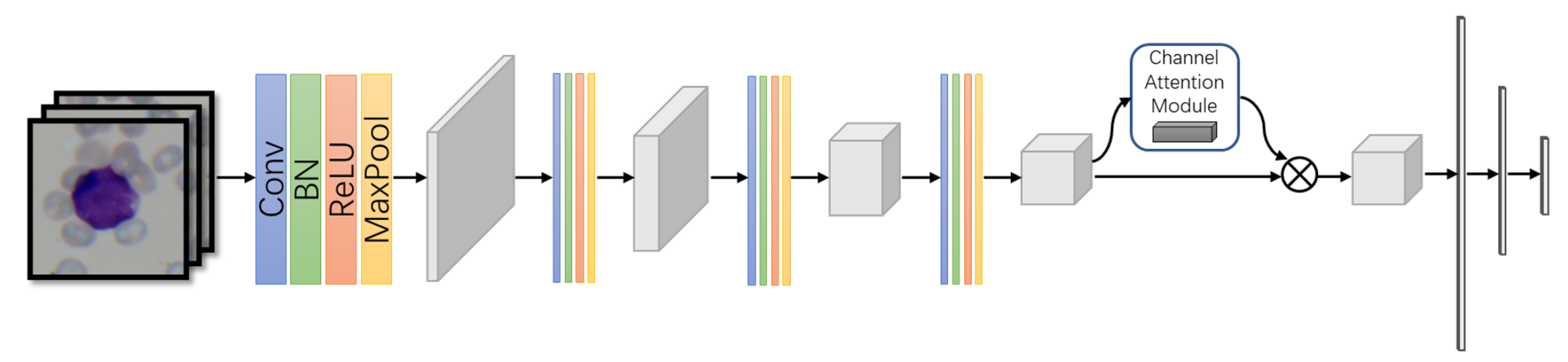 Diagnostics 11 01237 g002