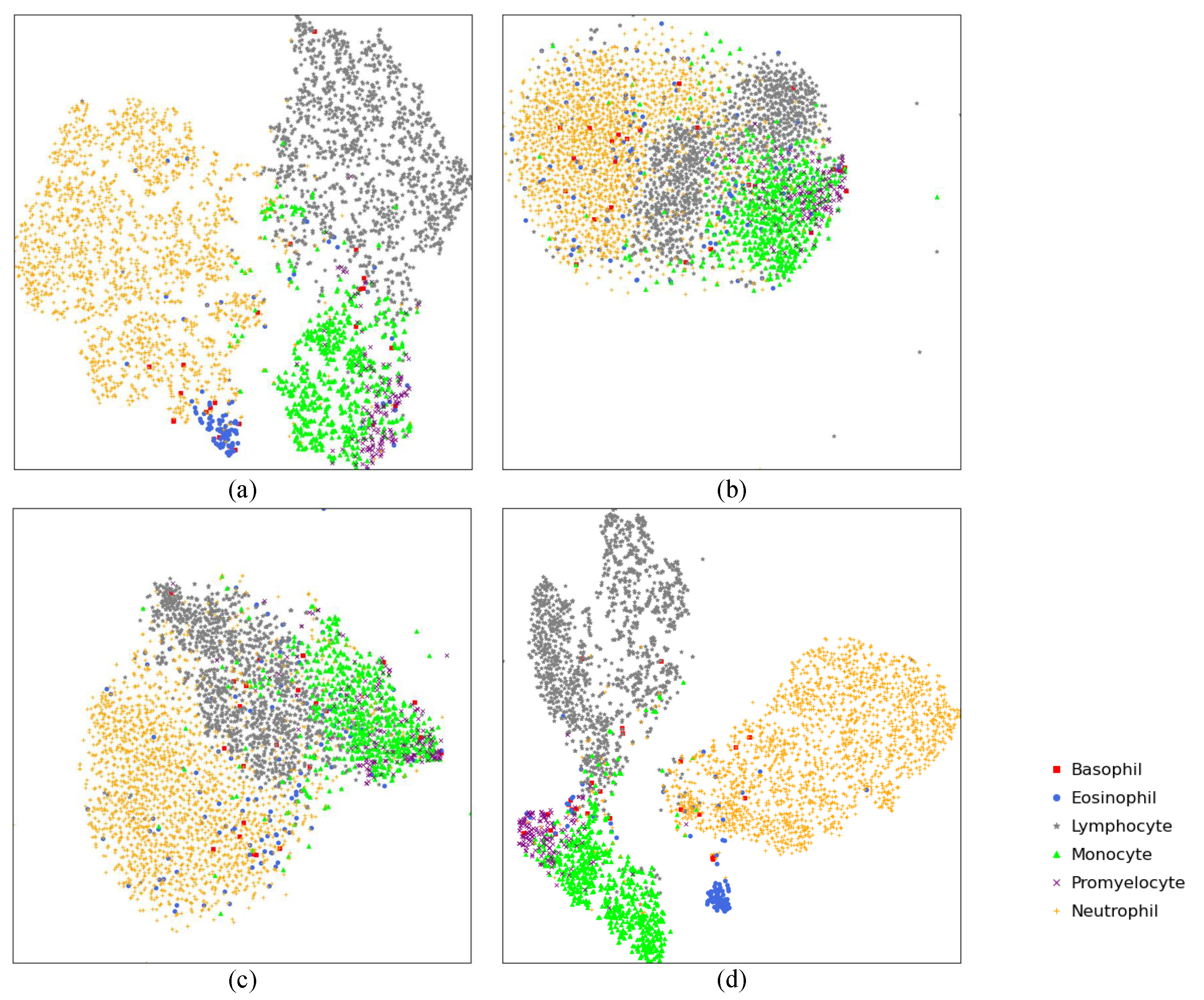 Diagnostics 11 01237 g005