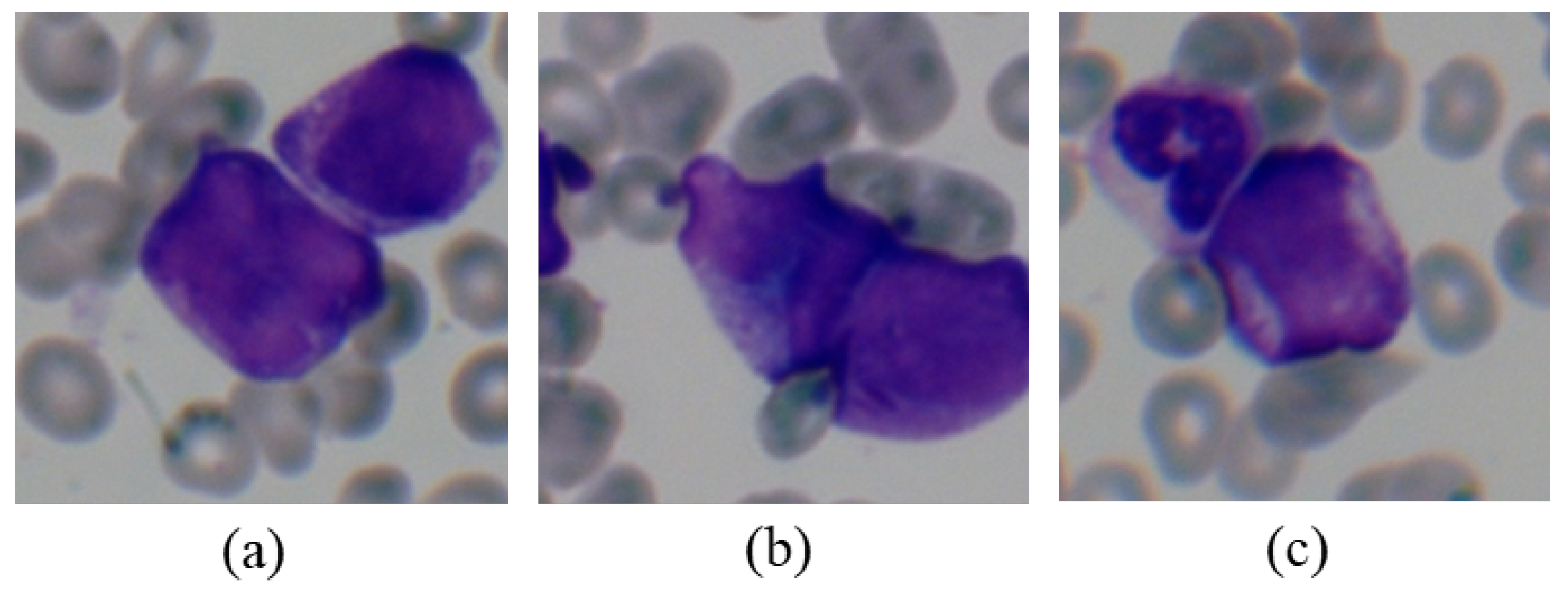 Diagnostics 11 01237 g006
