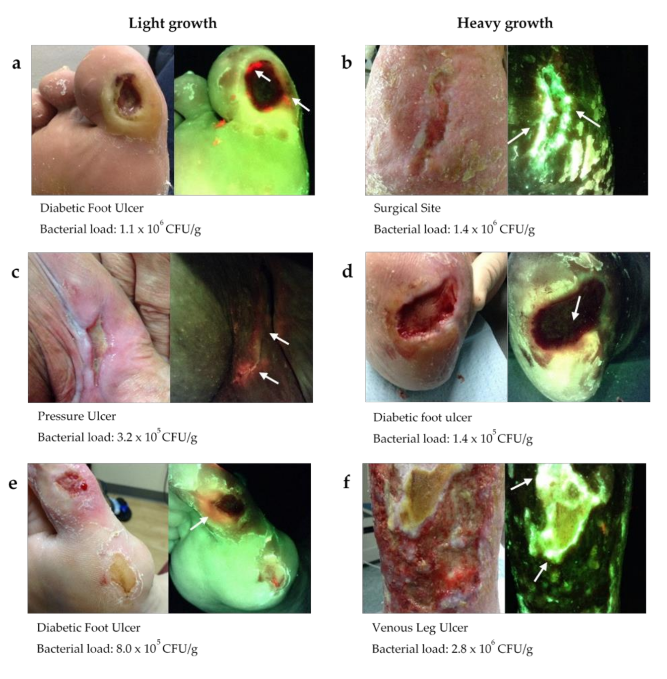 Diagnostics 11 01239 g004