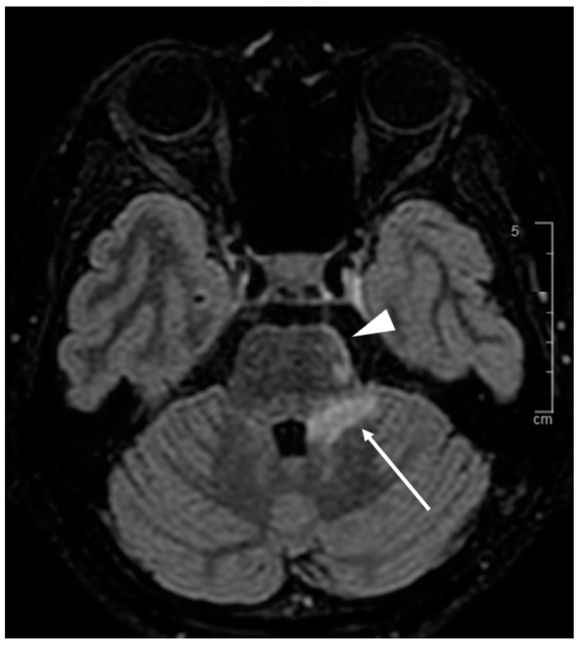 Diagnostics 11 01240 g005