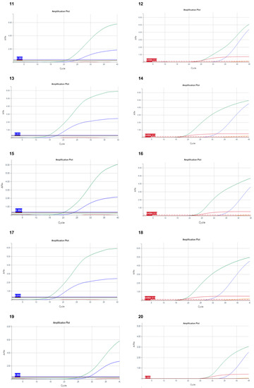 Diagnostics 11 01241 g001c 550