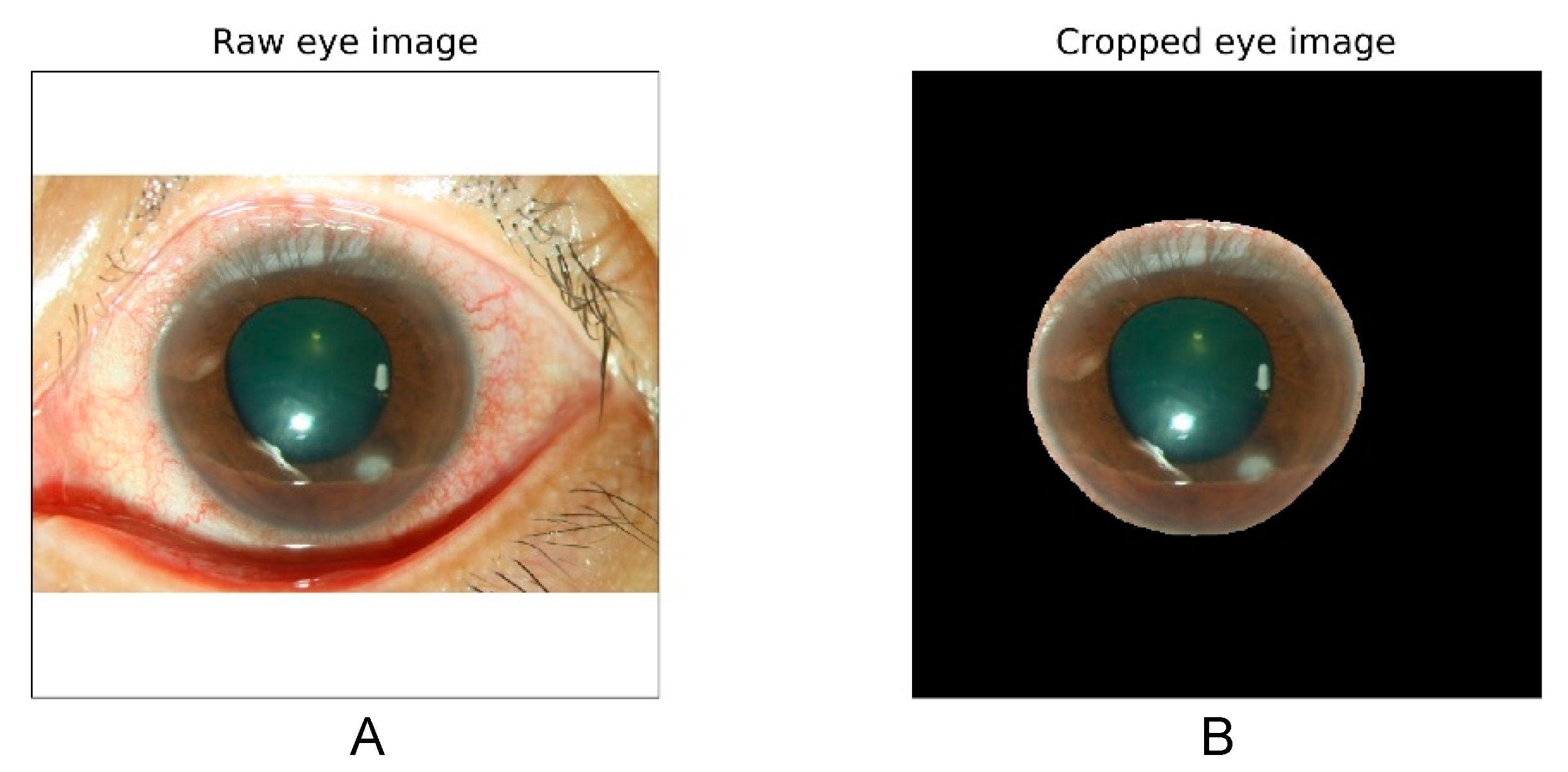 Diagnostics 11 01246 g002