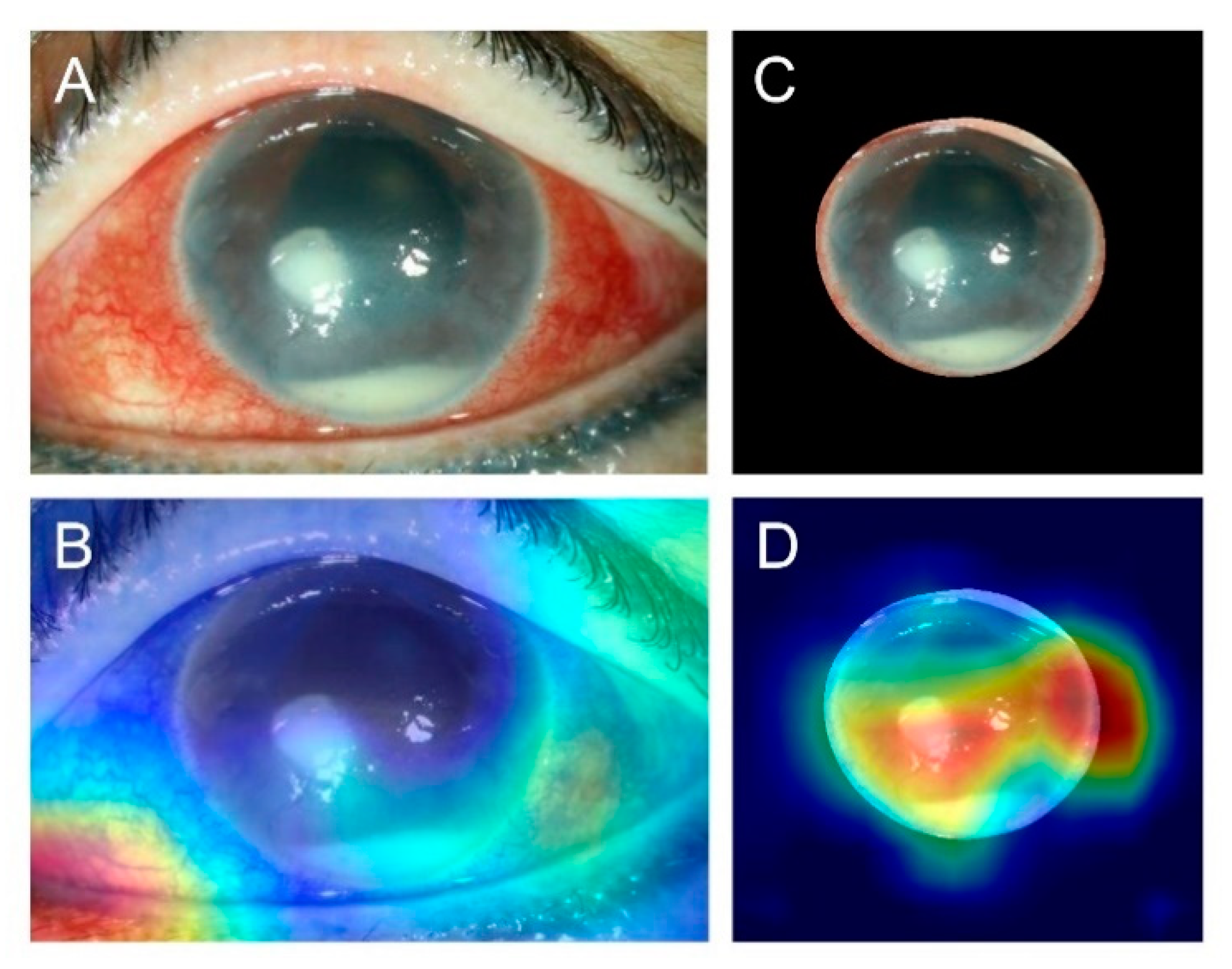 Diagnostics 11 01246 g005