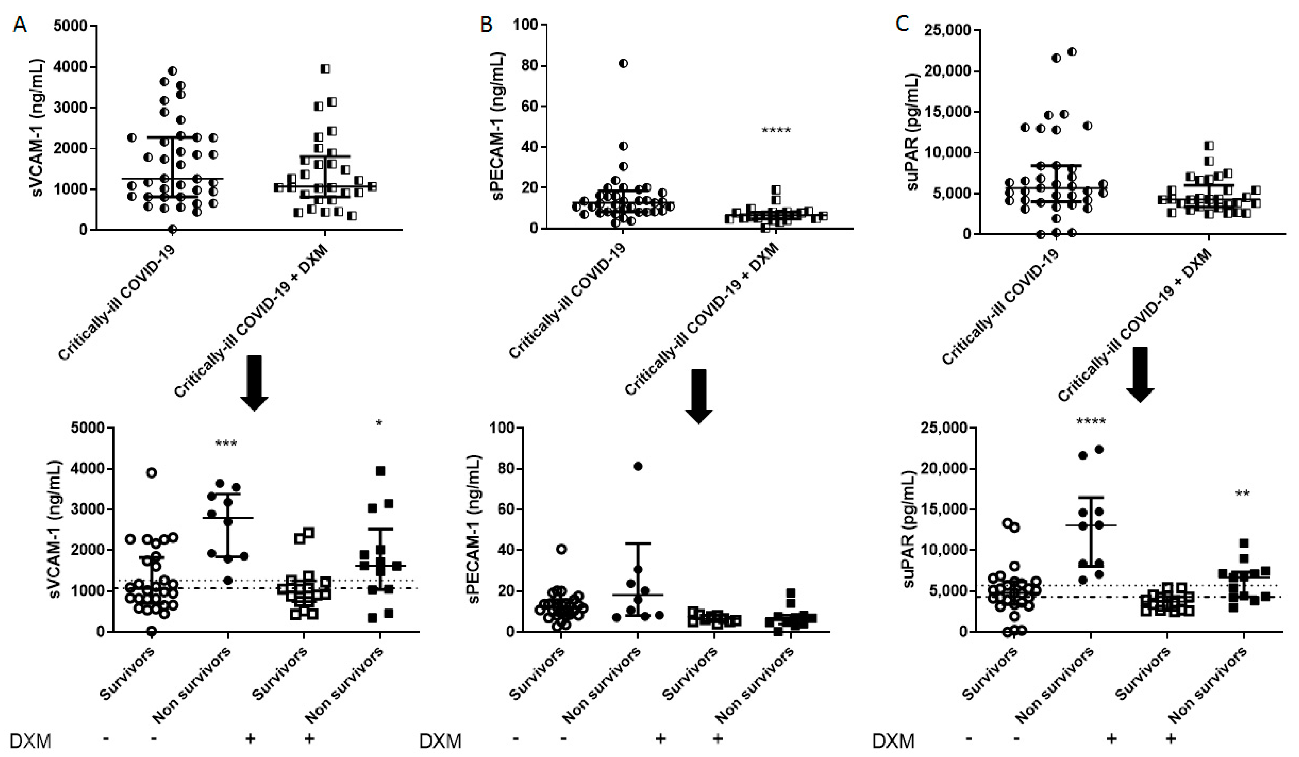 Diagnostics 11 01249 g003