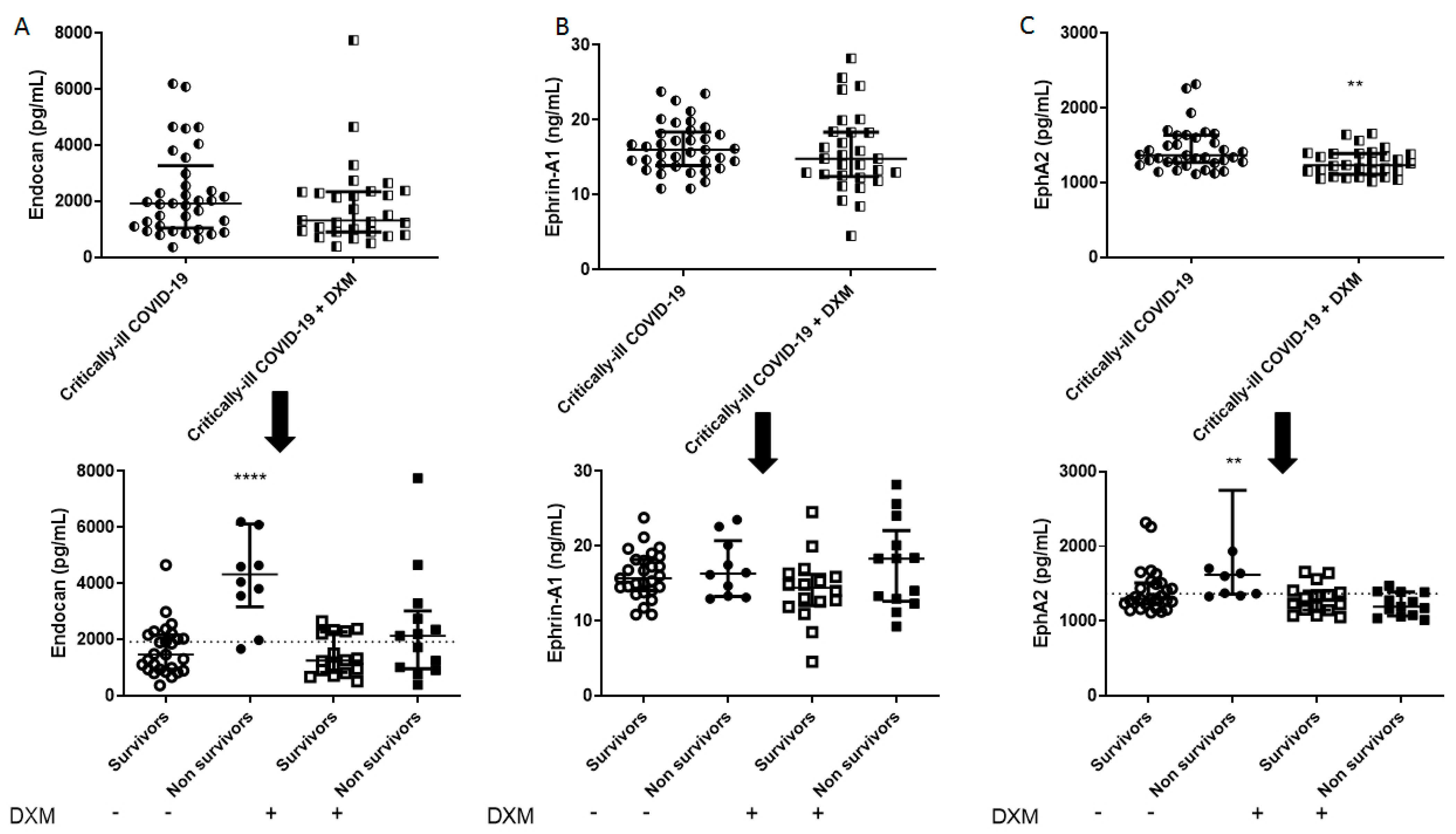 Diagnostics 11 01249 g004