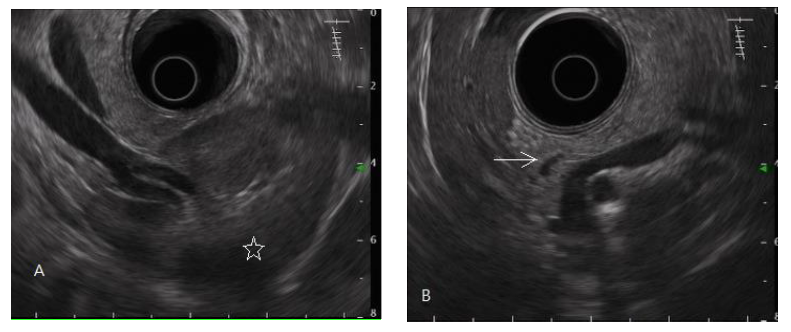 Diagnostics 11 01252 g001a