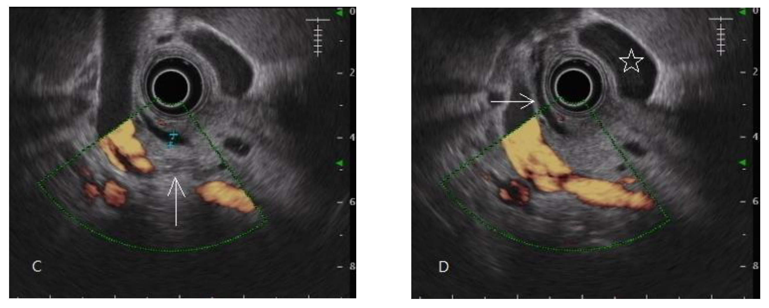 Diagnostics 11 01252 g001b