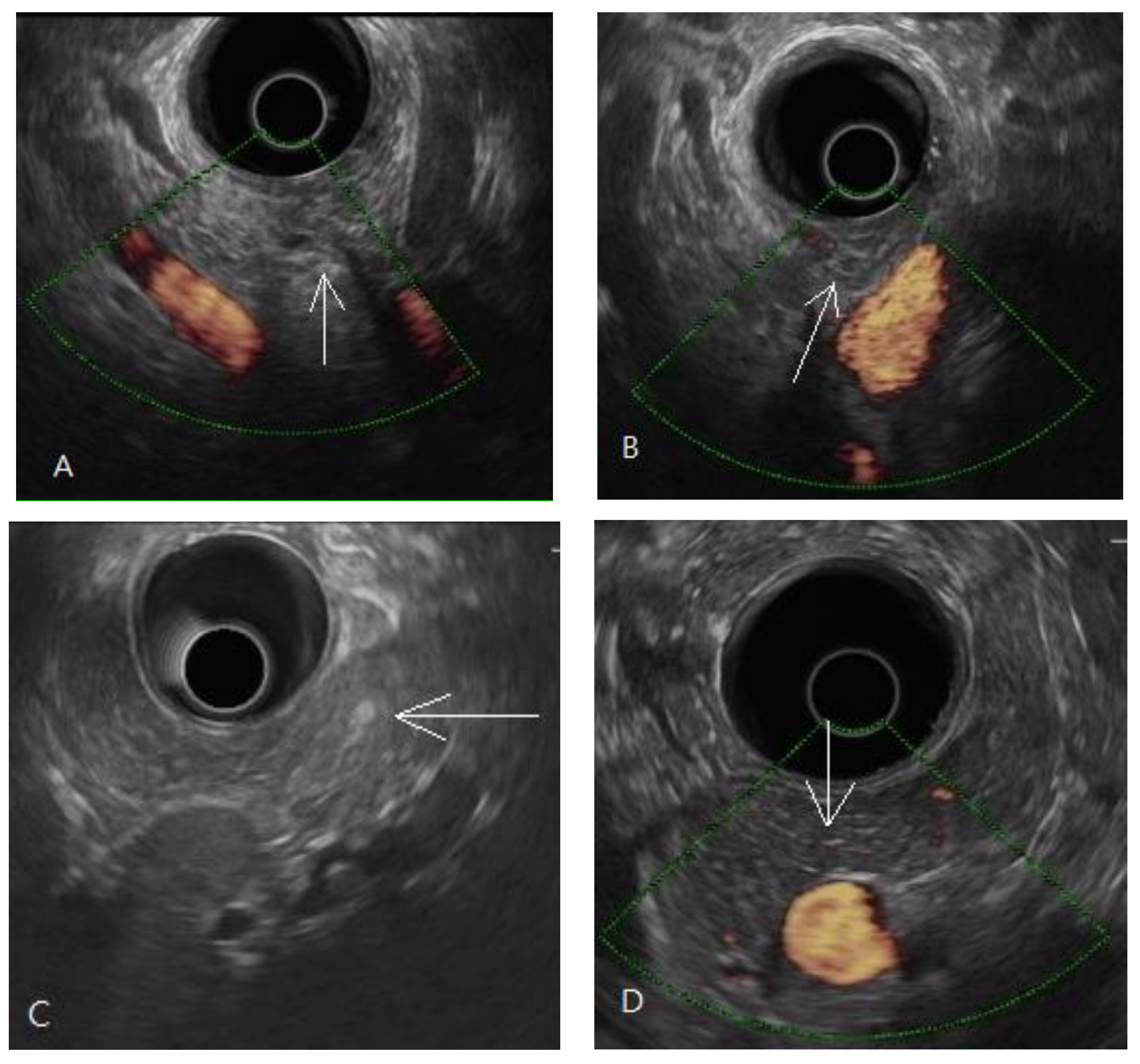 Diagnostics 11 01252 g002