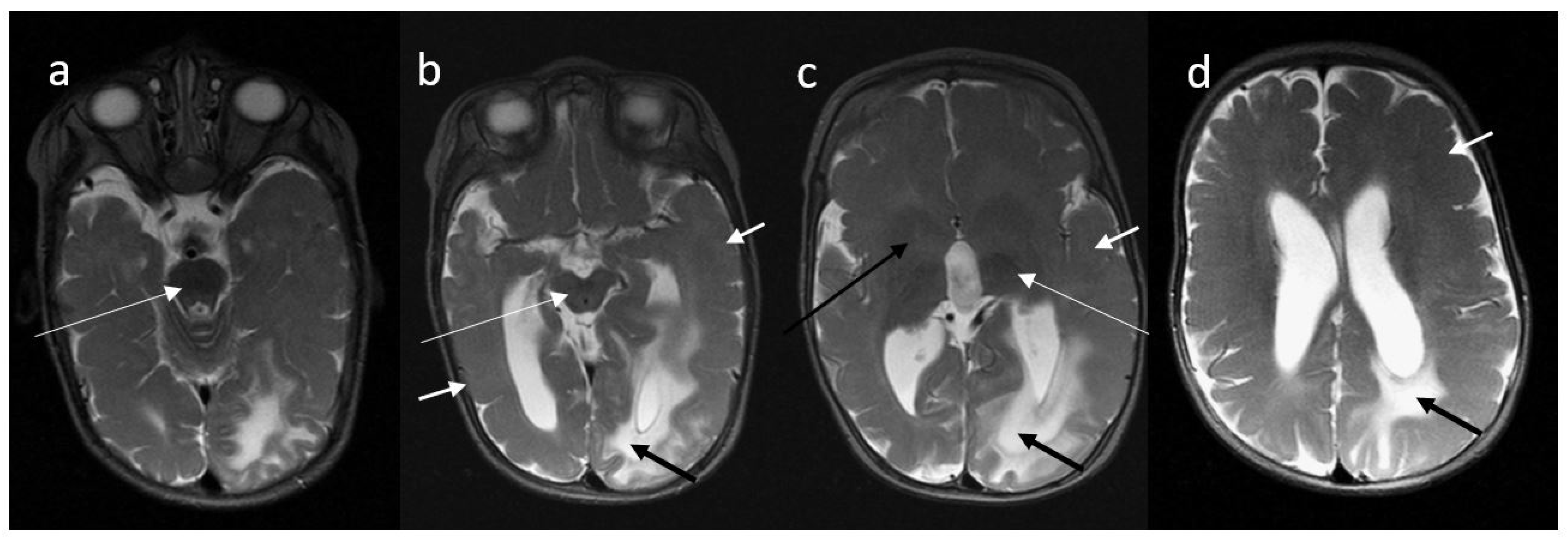 Diagnostics 11 01269 g001