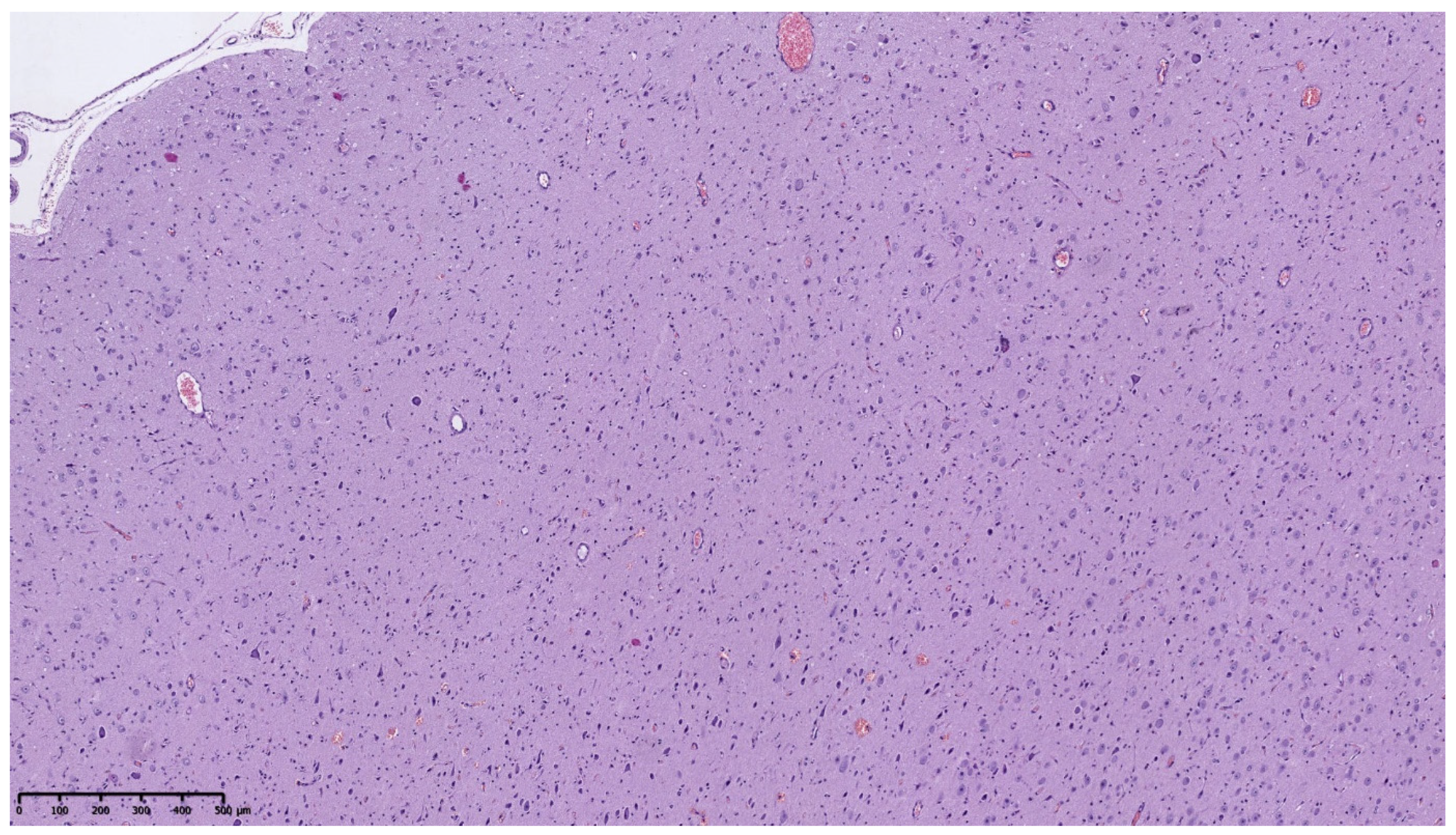 Diagnostics 11 01269 g002