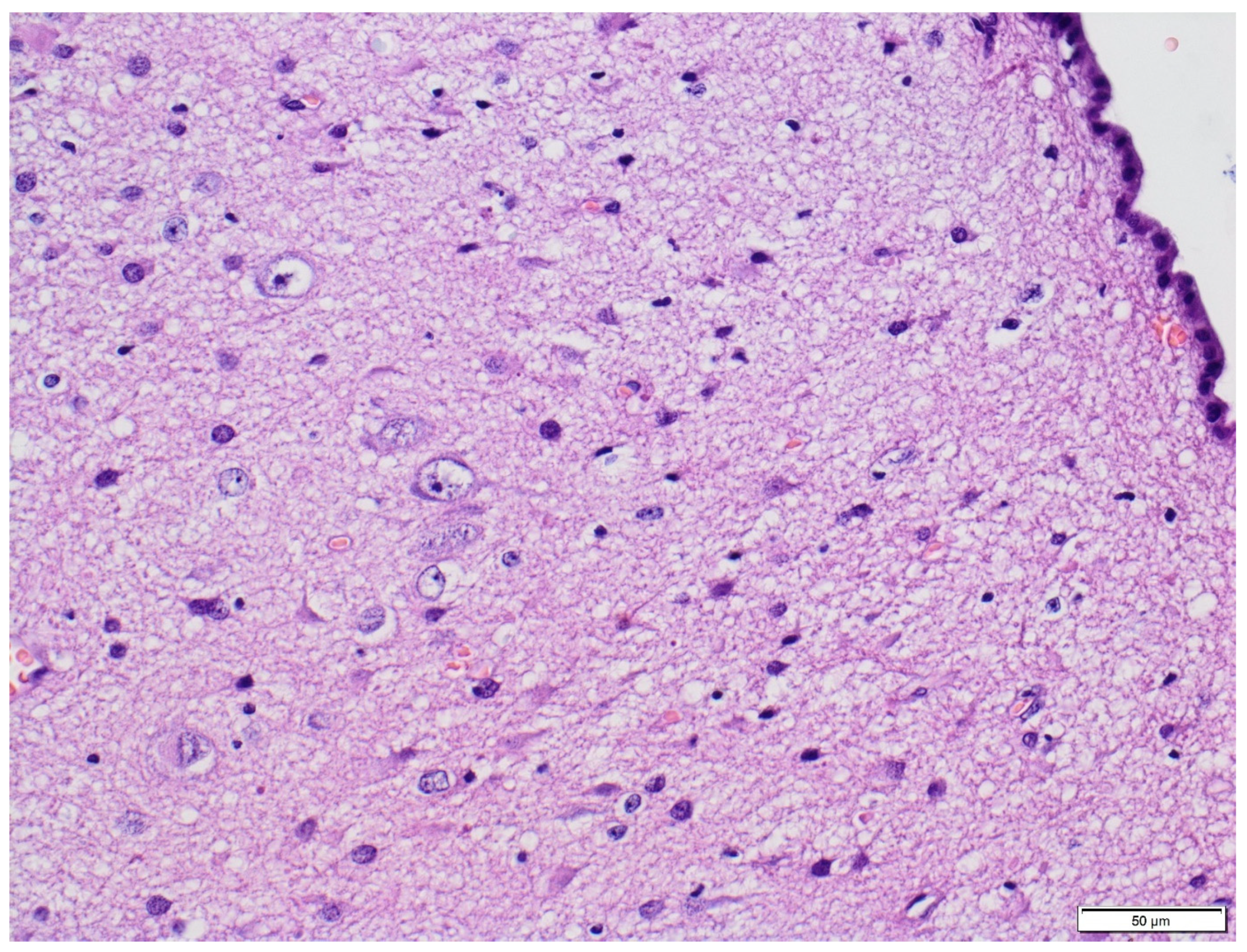 Diagnostics 11 01269 g005