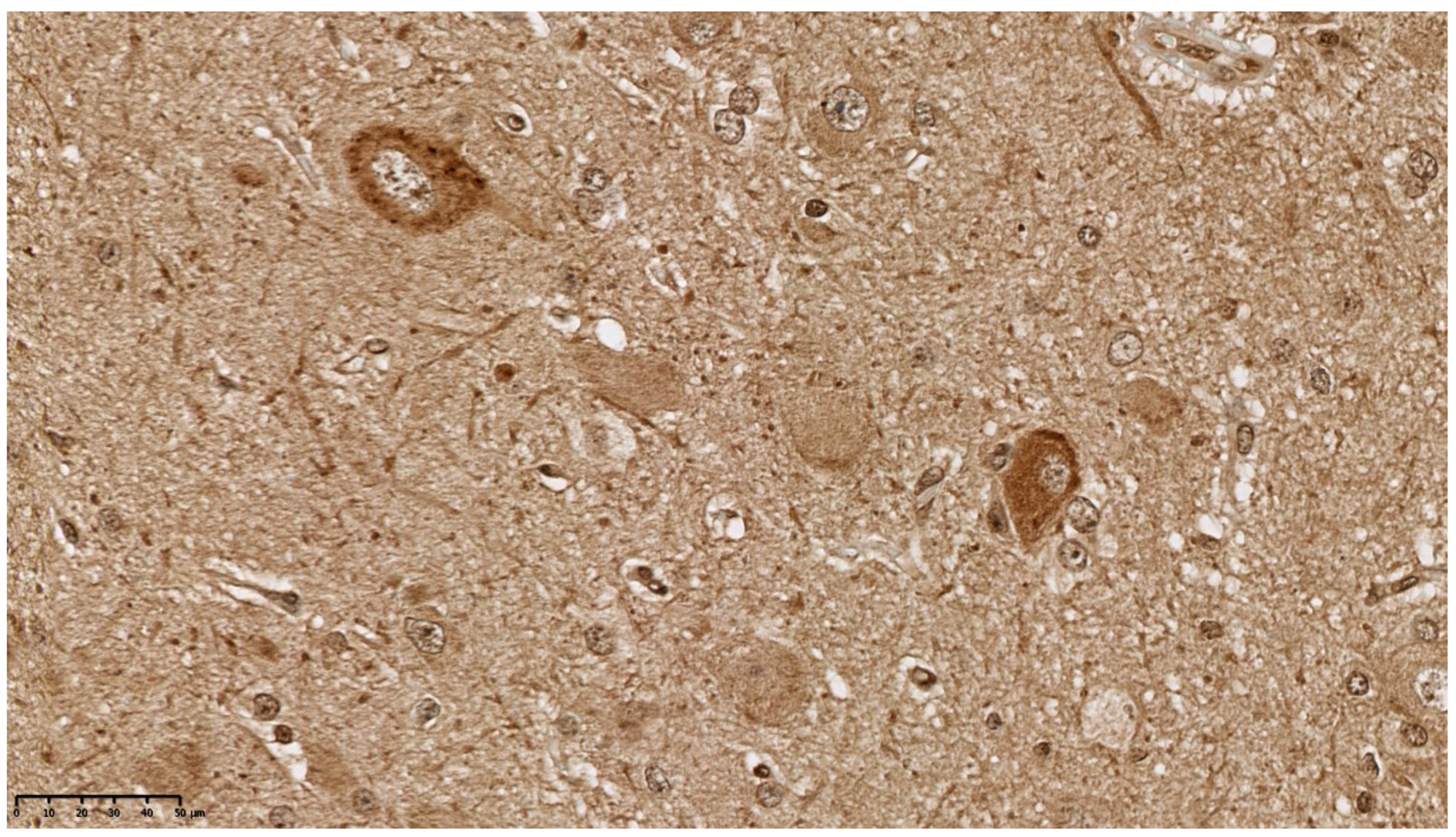 Diagnostics 11 01269 g007