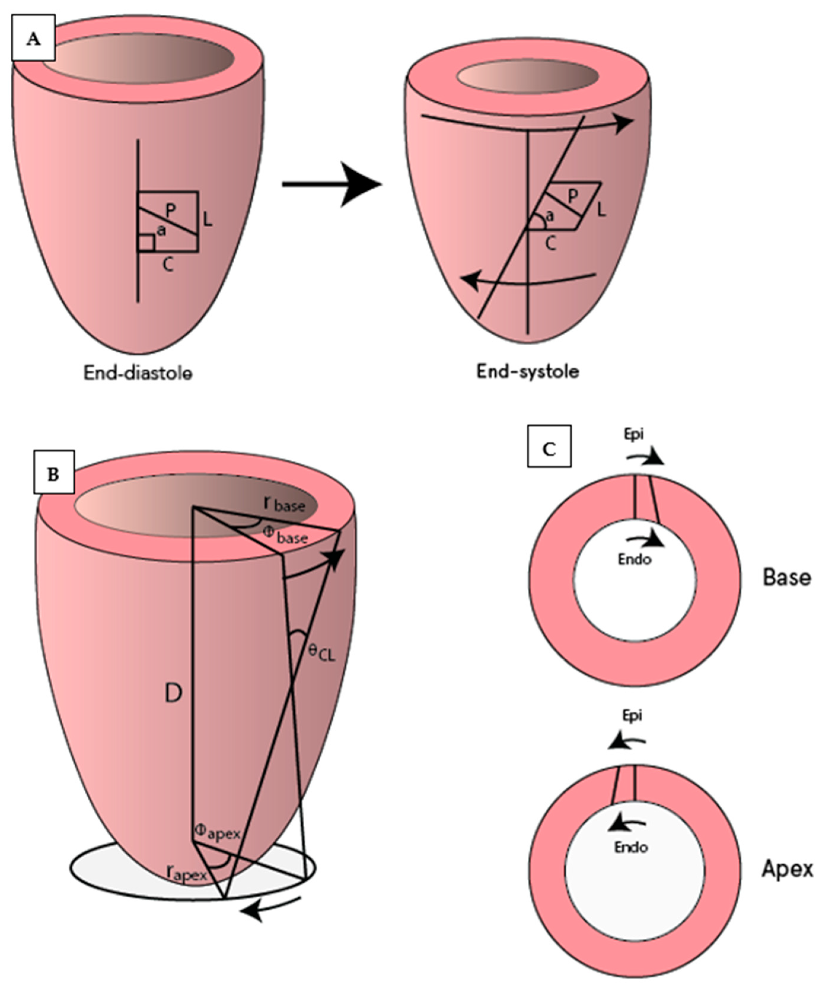 Diagnostics 11 01282 g003