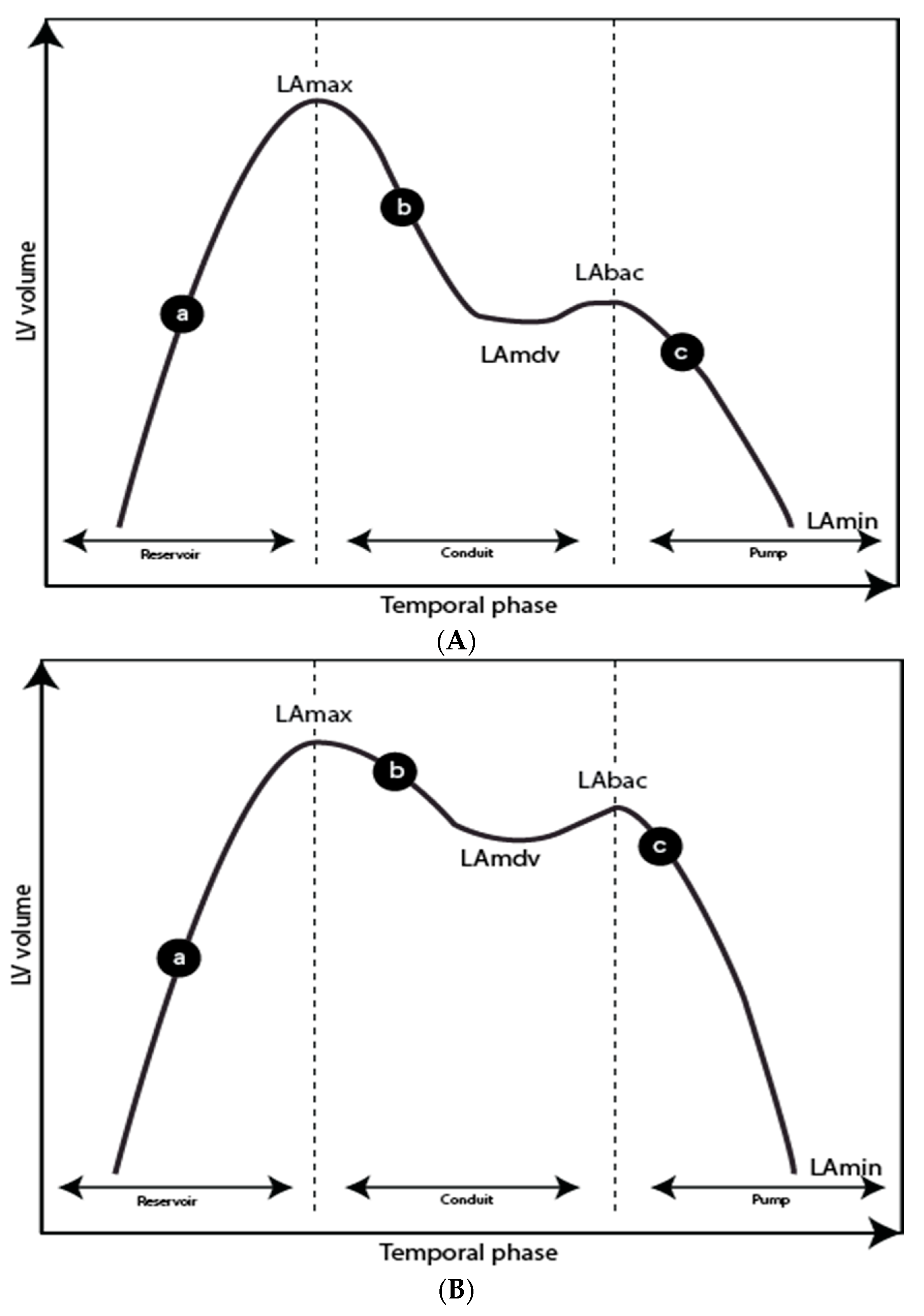 Diagnostics 11 01282 g005