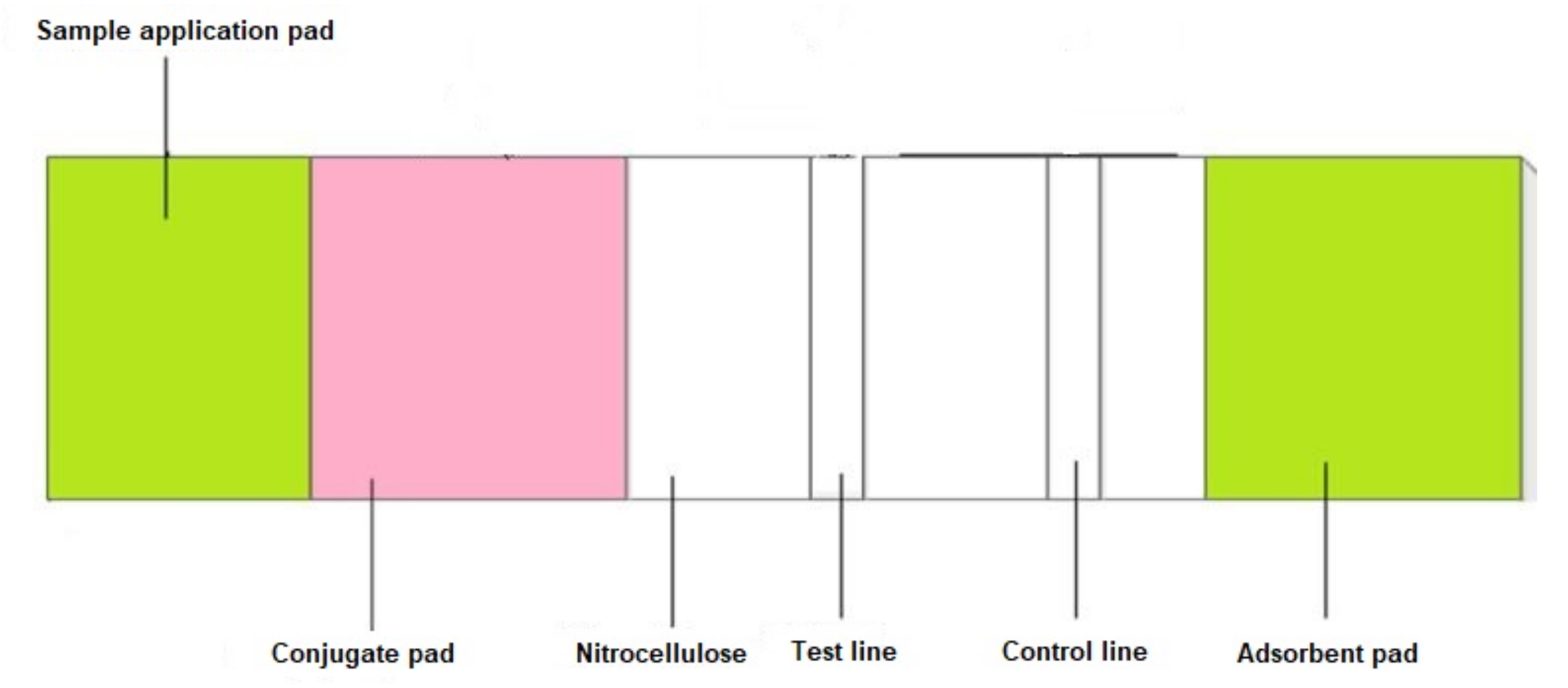Diagnostics 11 01285 g002 Diagnostics 11 01285 g002