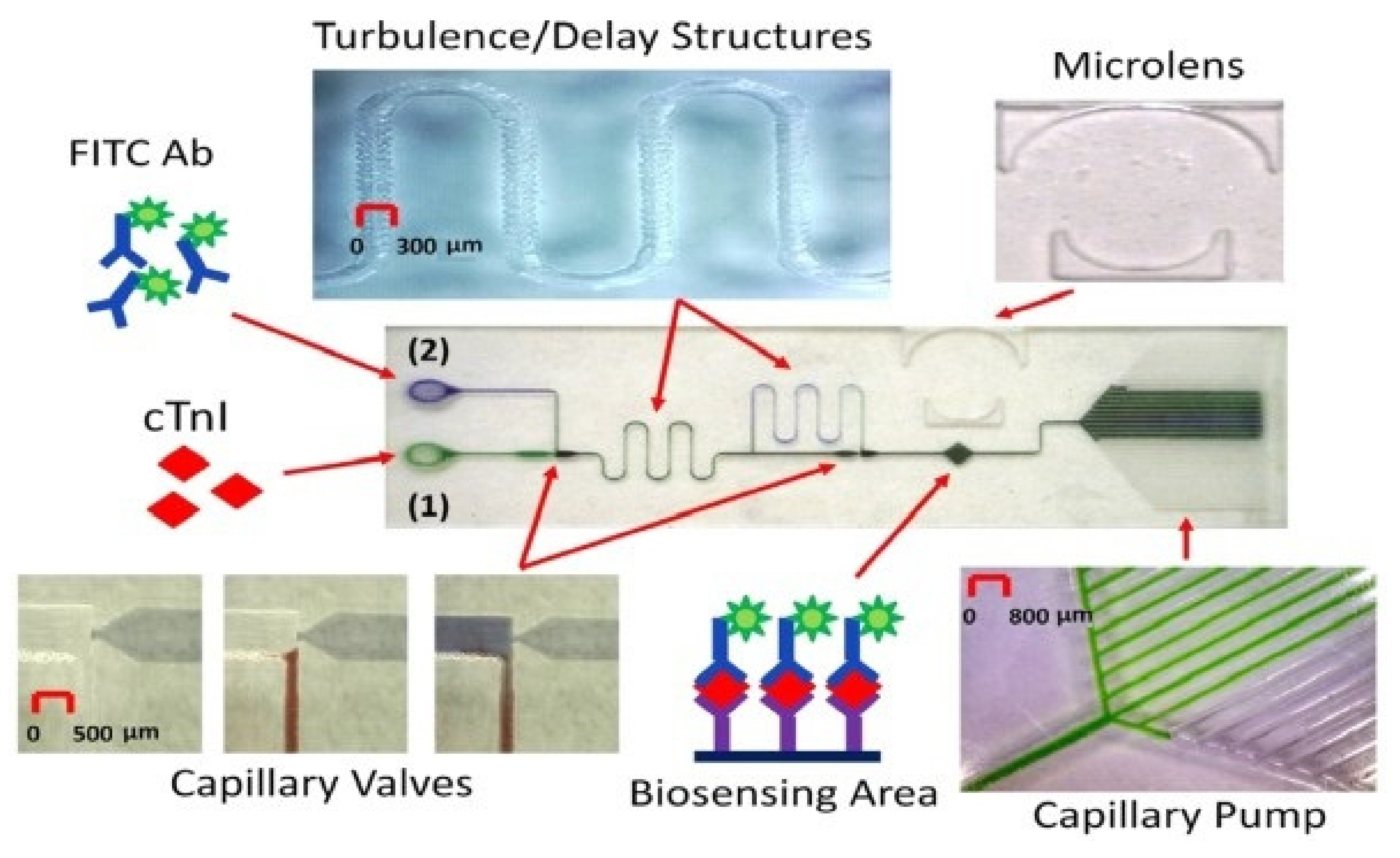 Diagnostics 11 01285 g004 Diagnostics 11 01285 g004