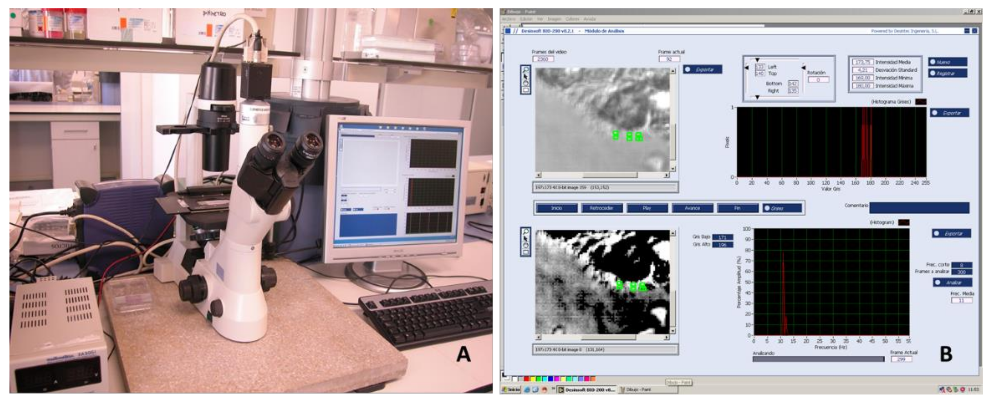 Diagnostics 11 01301 g001 Diagnostics 11 01301 g001