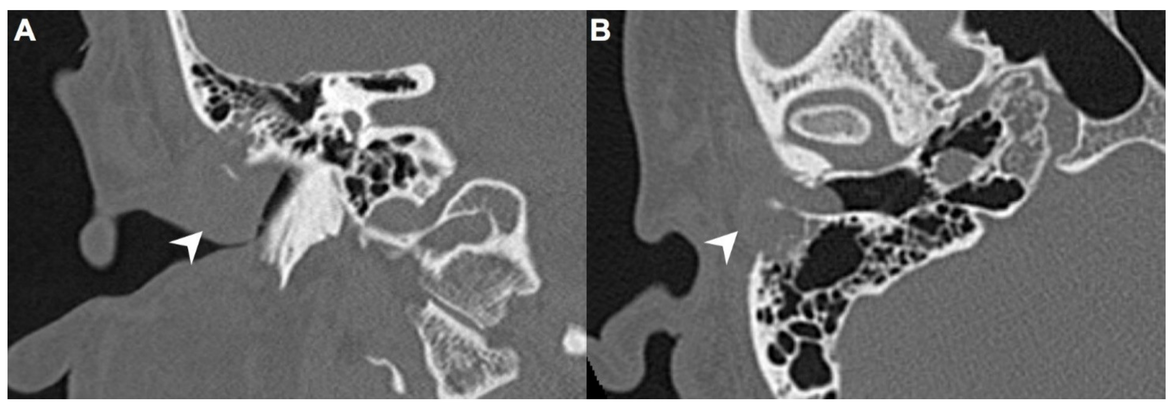 Diagnostics 11 01312 g002
