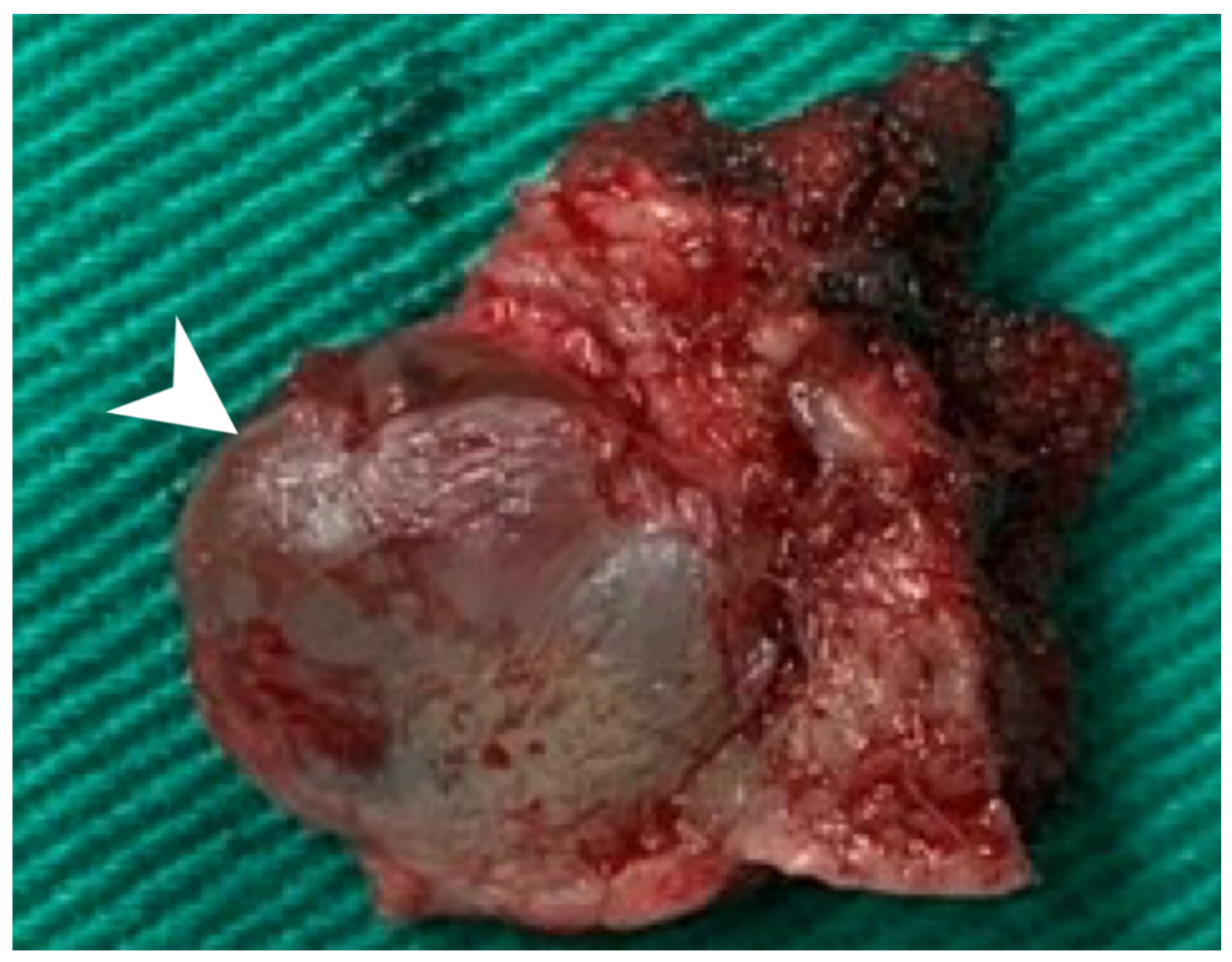 Diagnostics 11 01312 g004